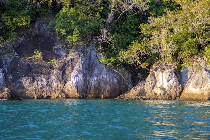 Hidden Attractions in Phi Phi Islands That Most Tourists Walk Right Past