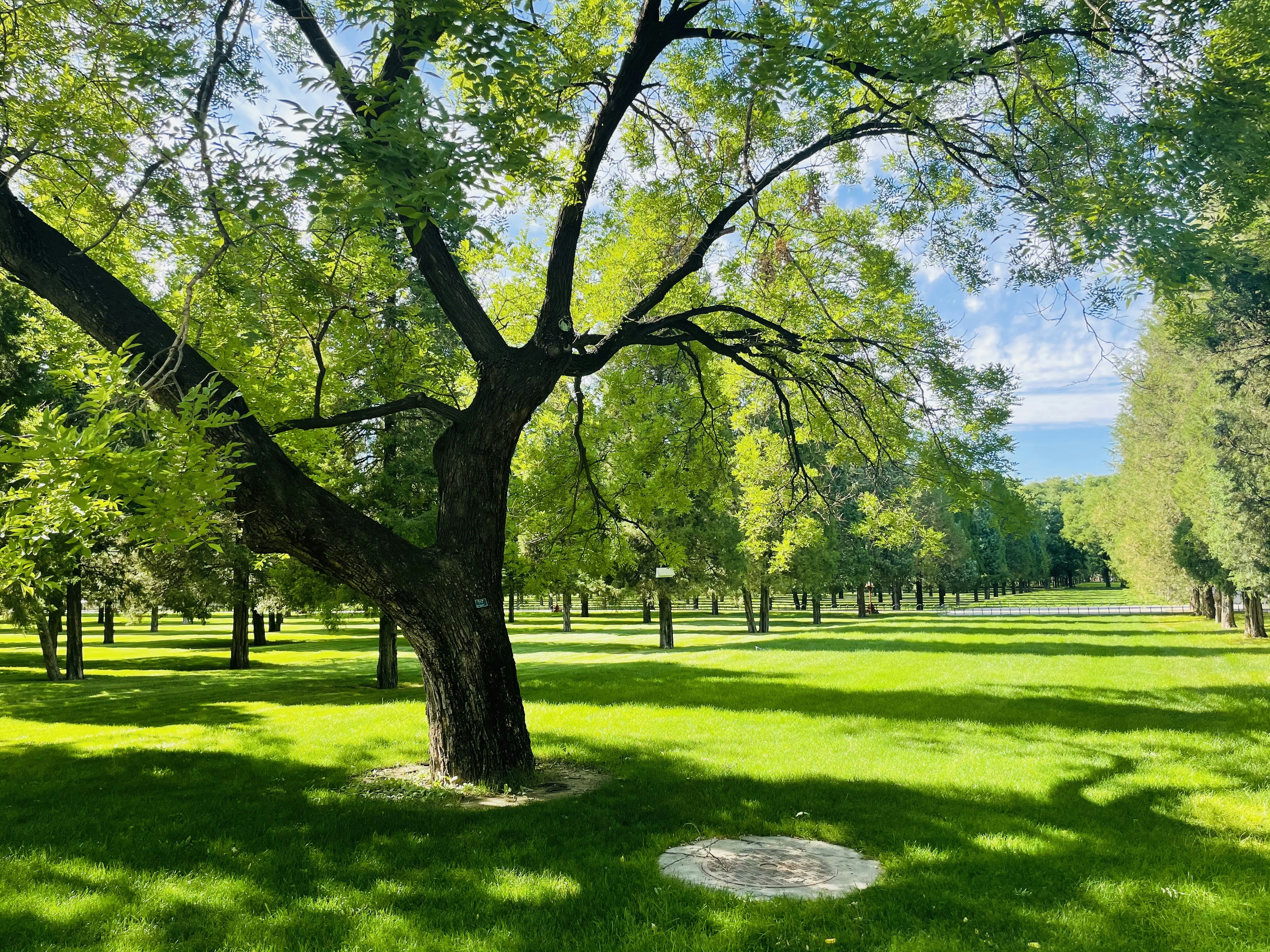 Crescent Park