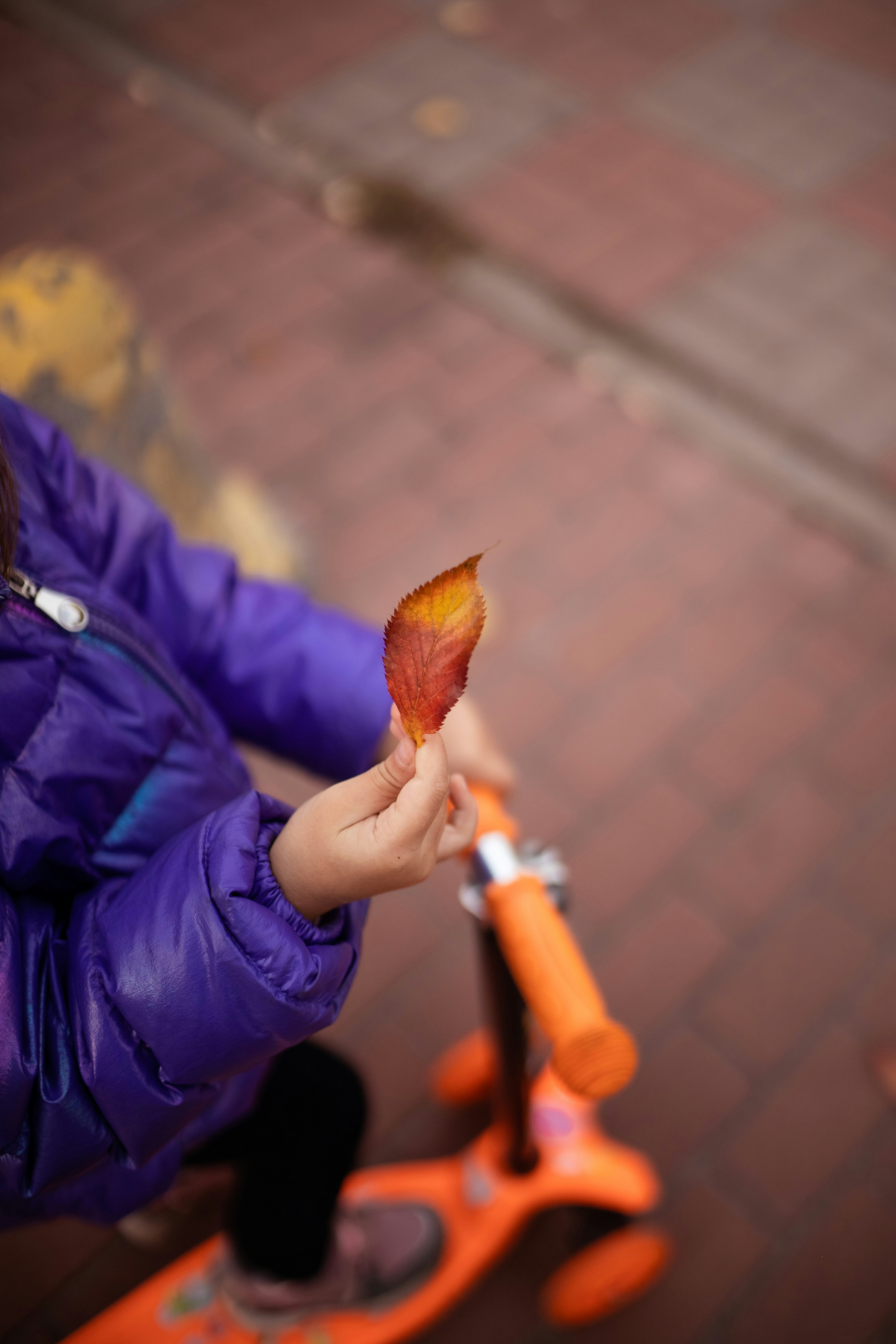 a little girl holding a leaf on a scooter