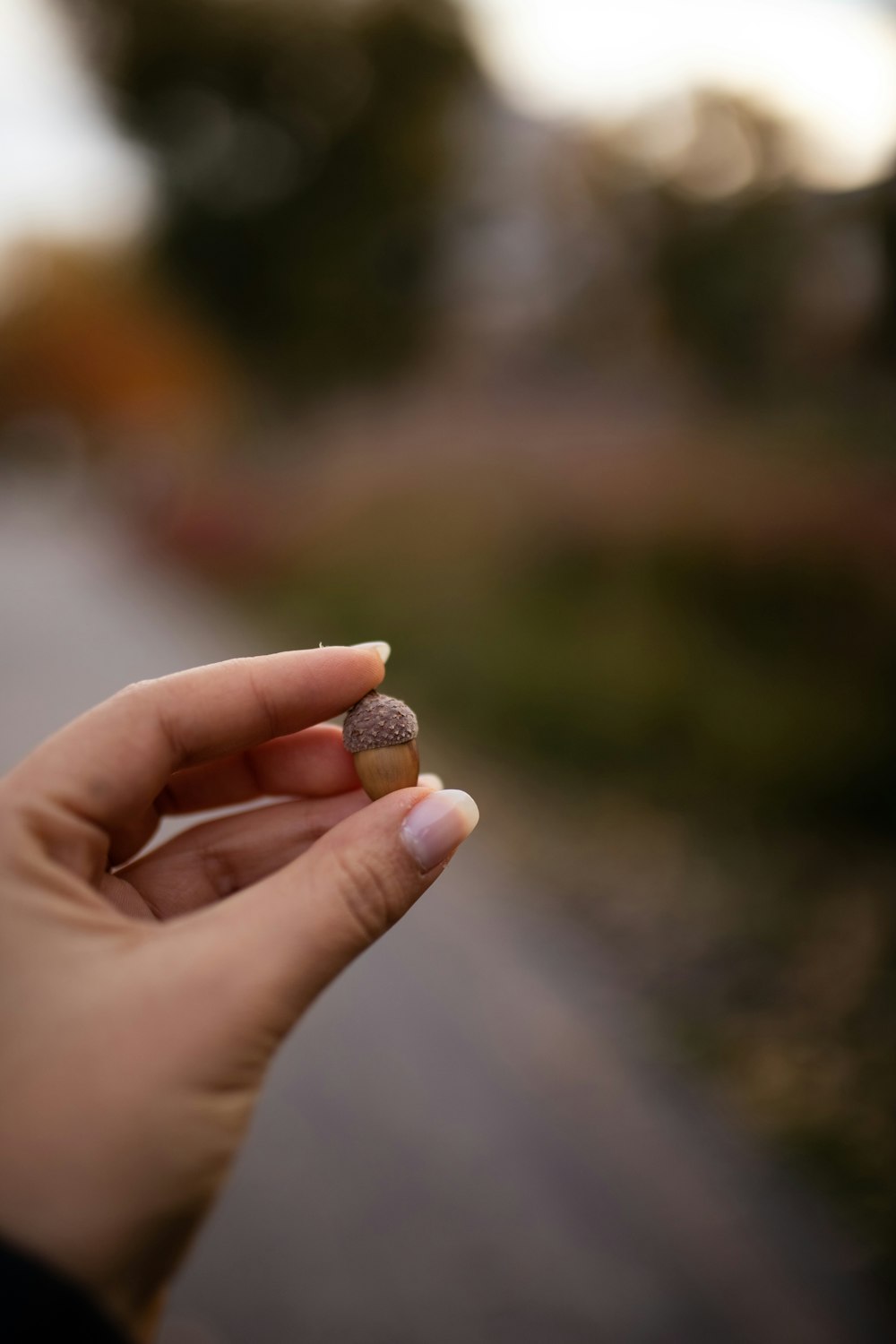 a person holding a small piece of food in their hand