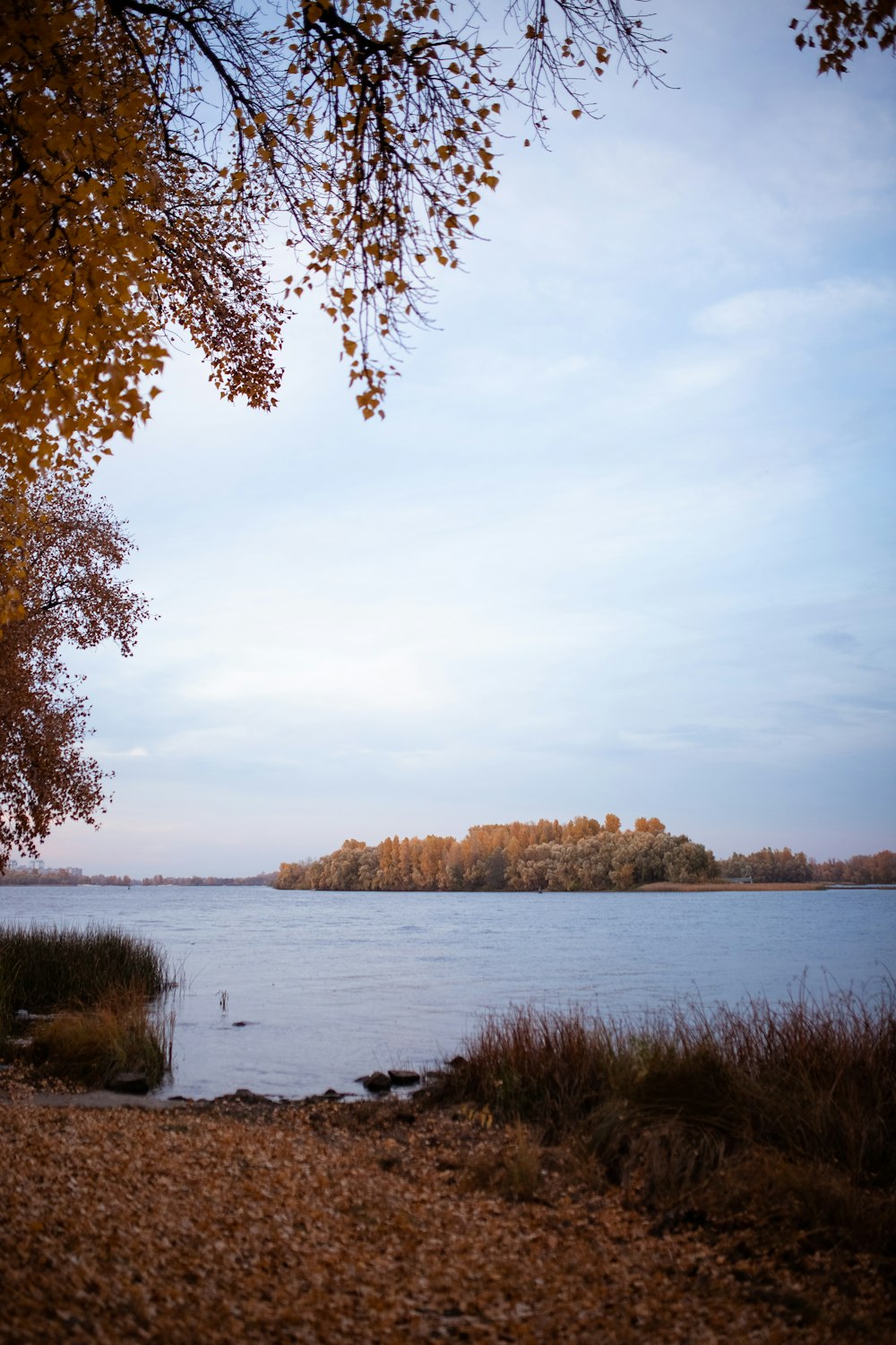 a body of water with trees in the background