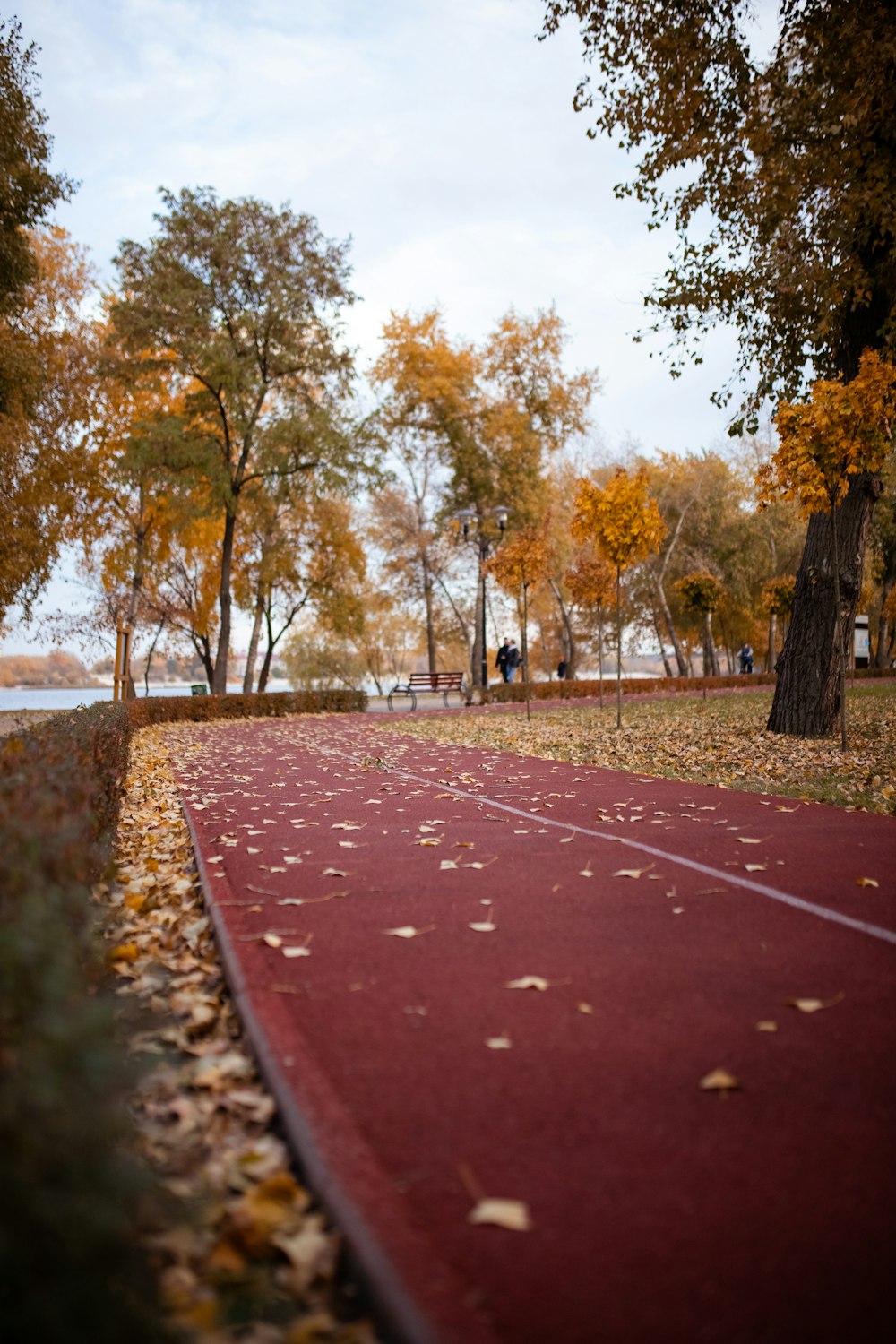 a red tennis court surrounded by trees and leaves