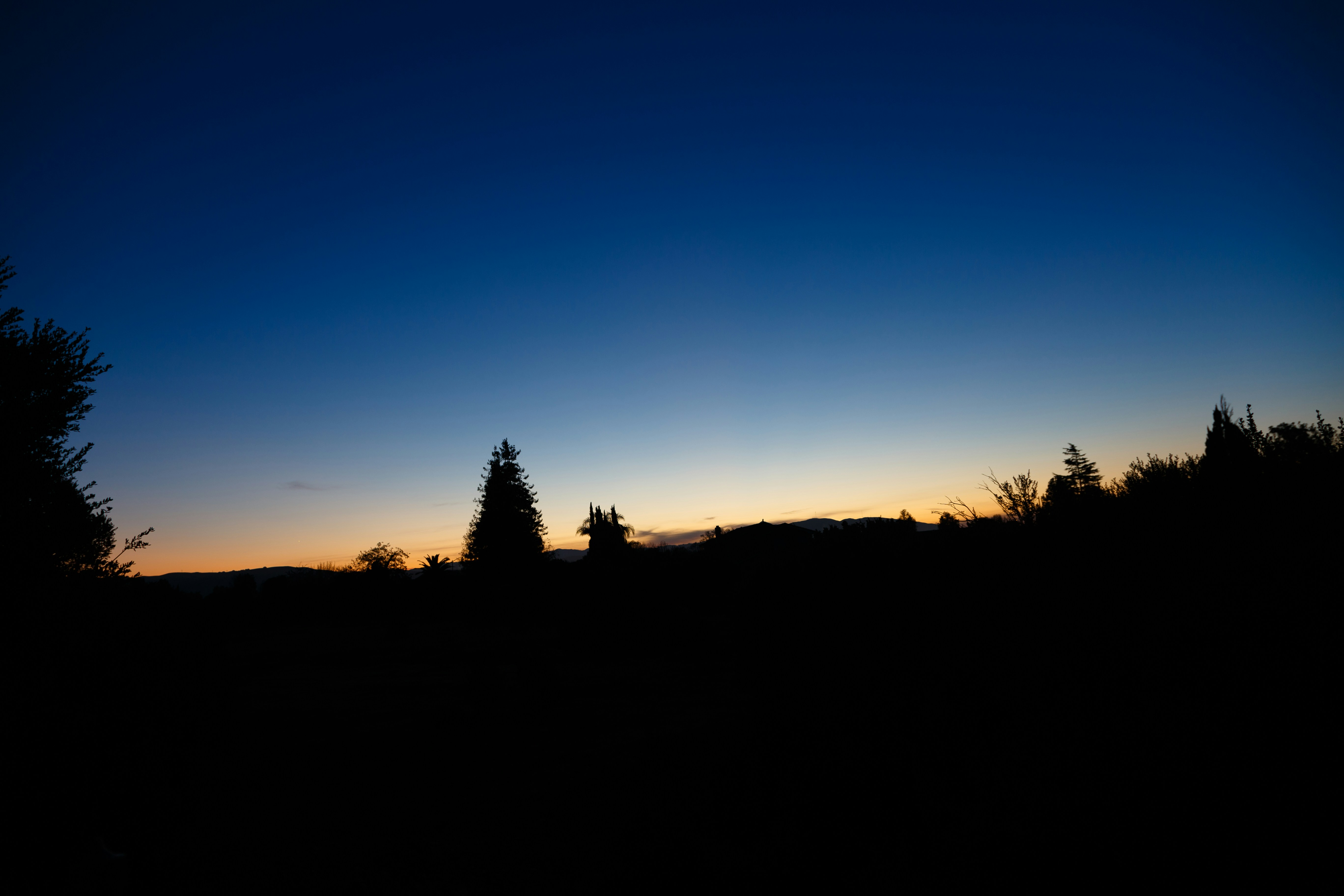 Photo by alien_roger