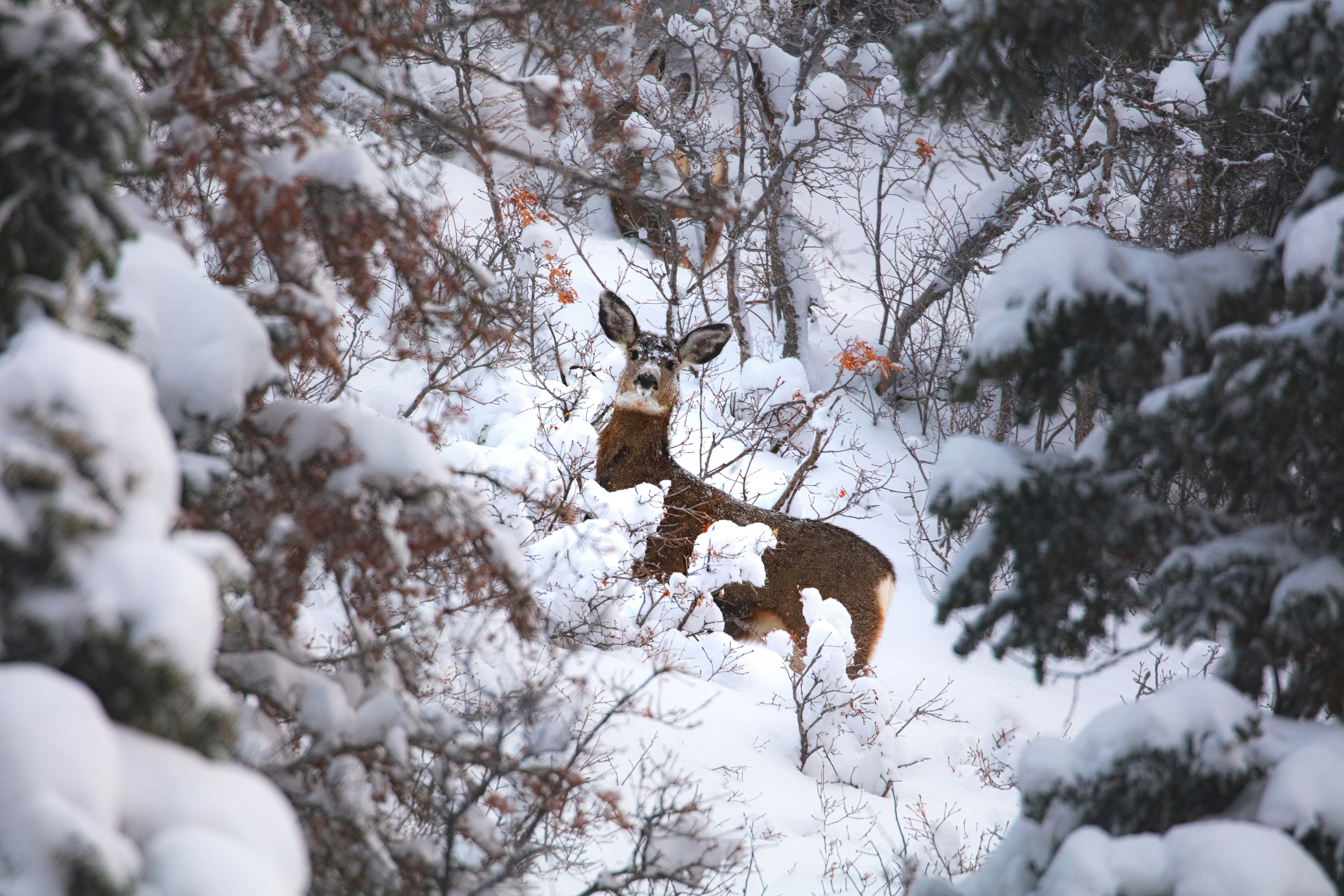 Photo by worldsbetweenlines