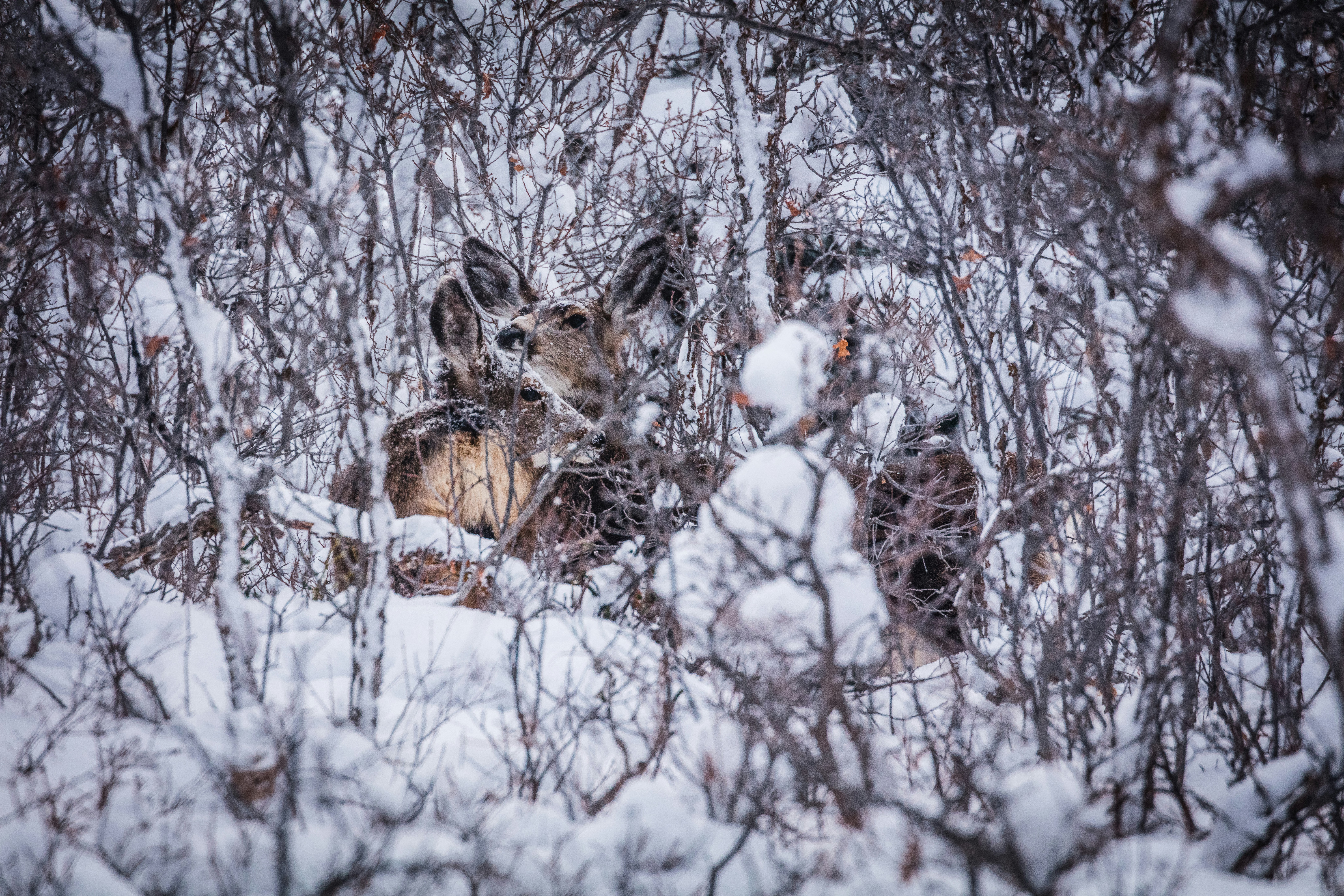 Photo by worldsbetweenlines