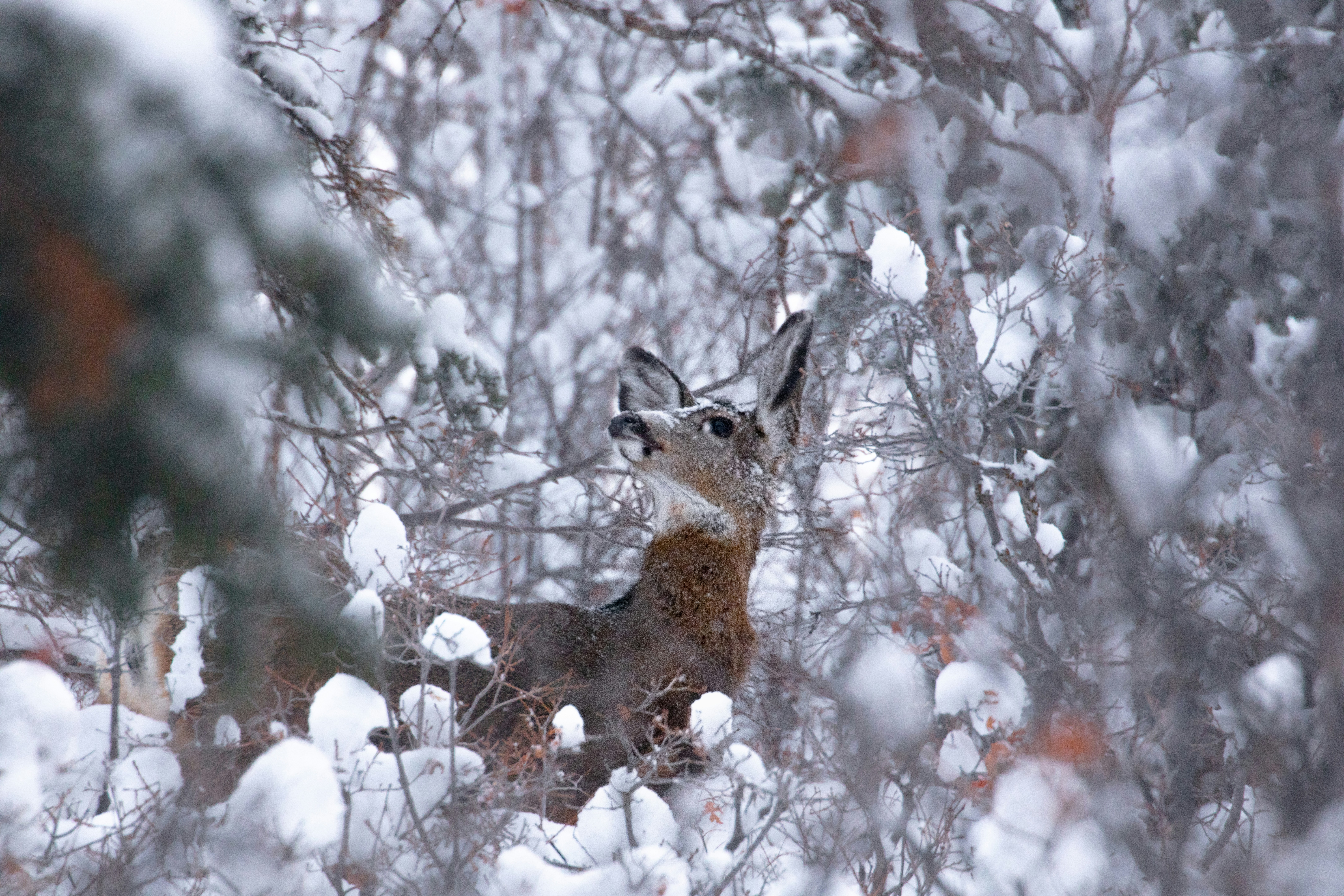 Photo by worldsbetweenlines