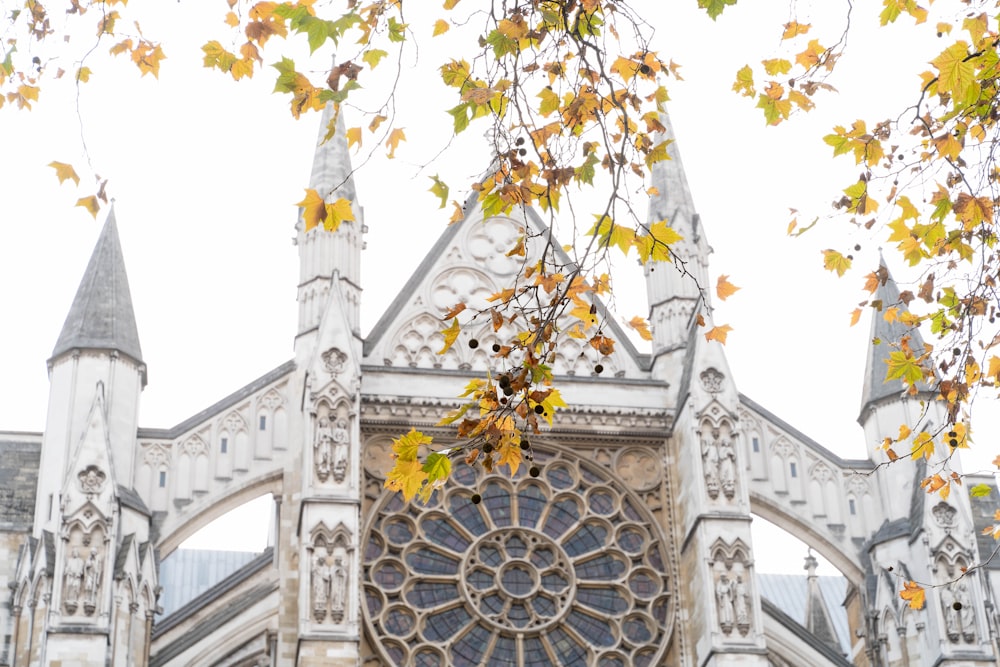 a large cathedral with a clock on the front of it