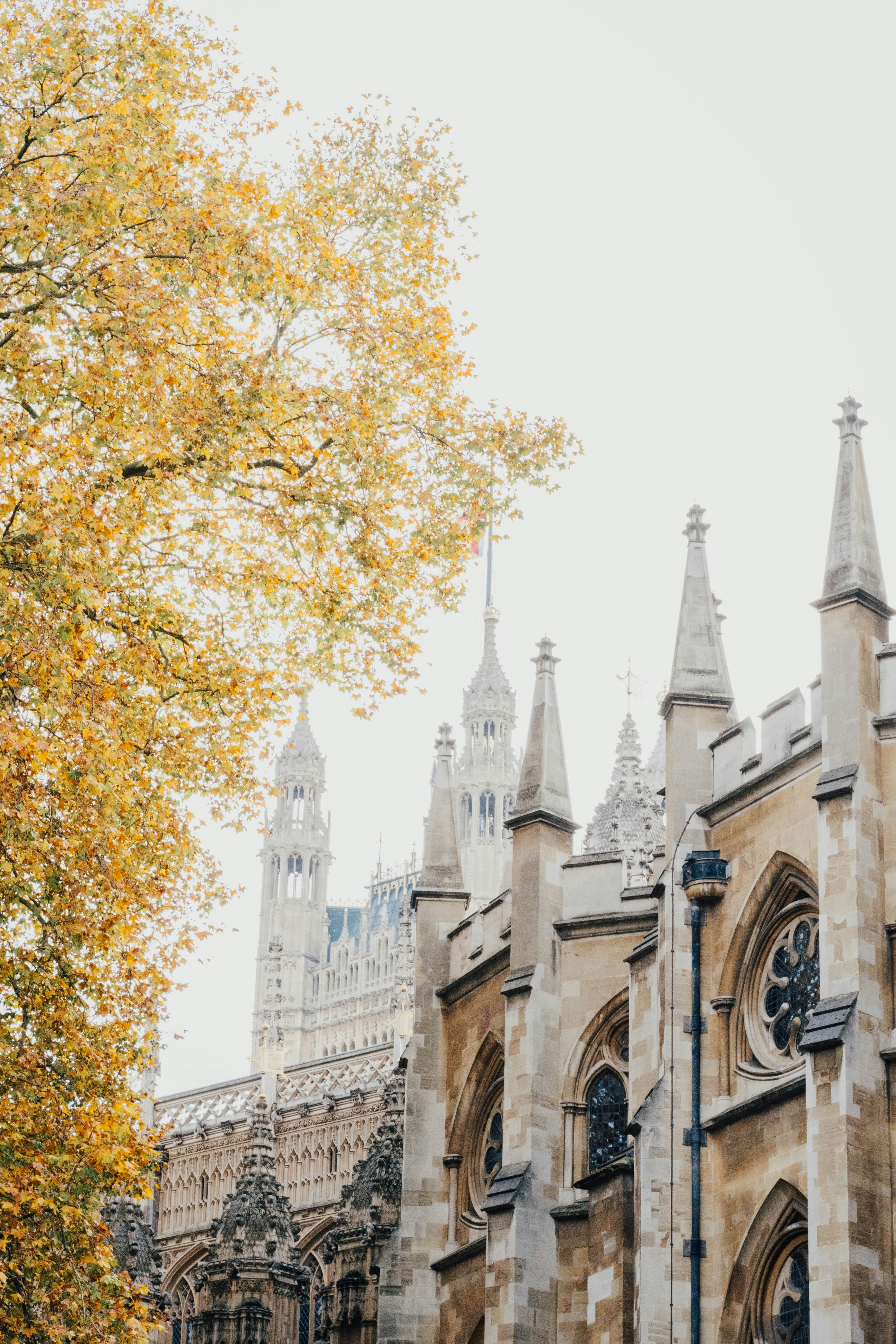 Photo by thinspacesproductions