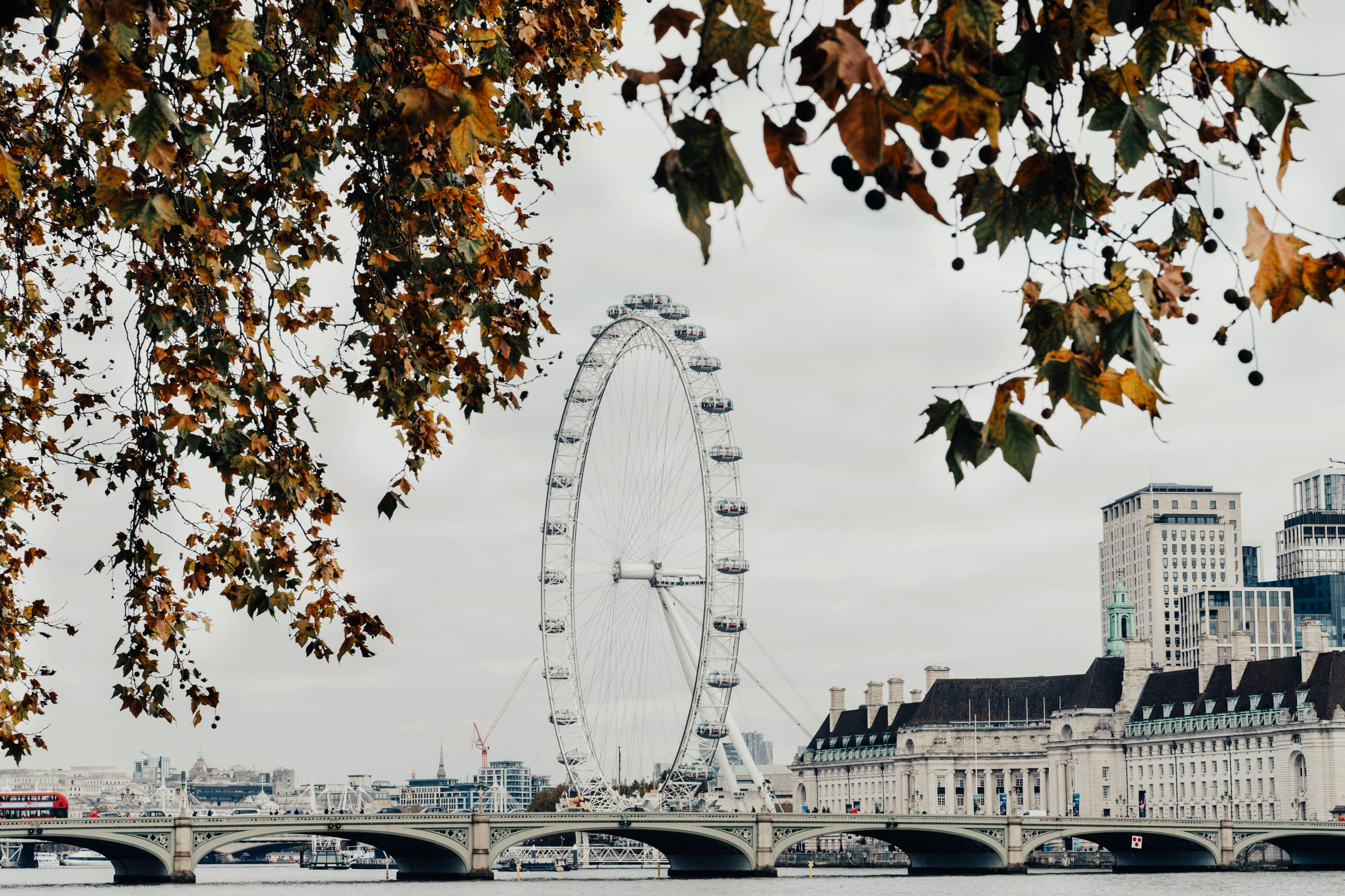 a large ferris wheel in the middle of a city, 