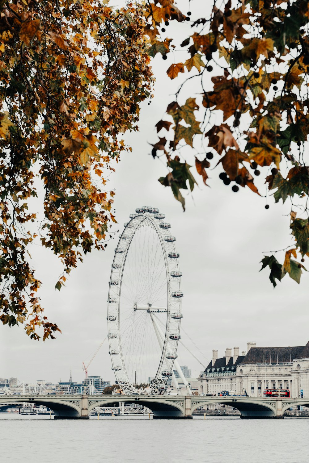 a large ferris wheel sitting next to a river