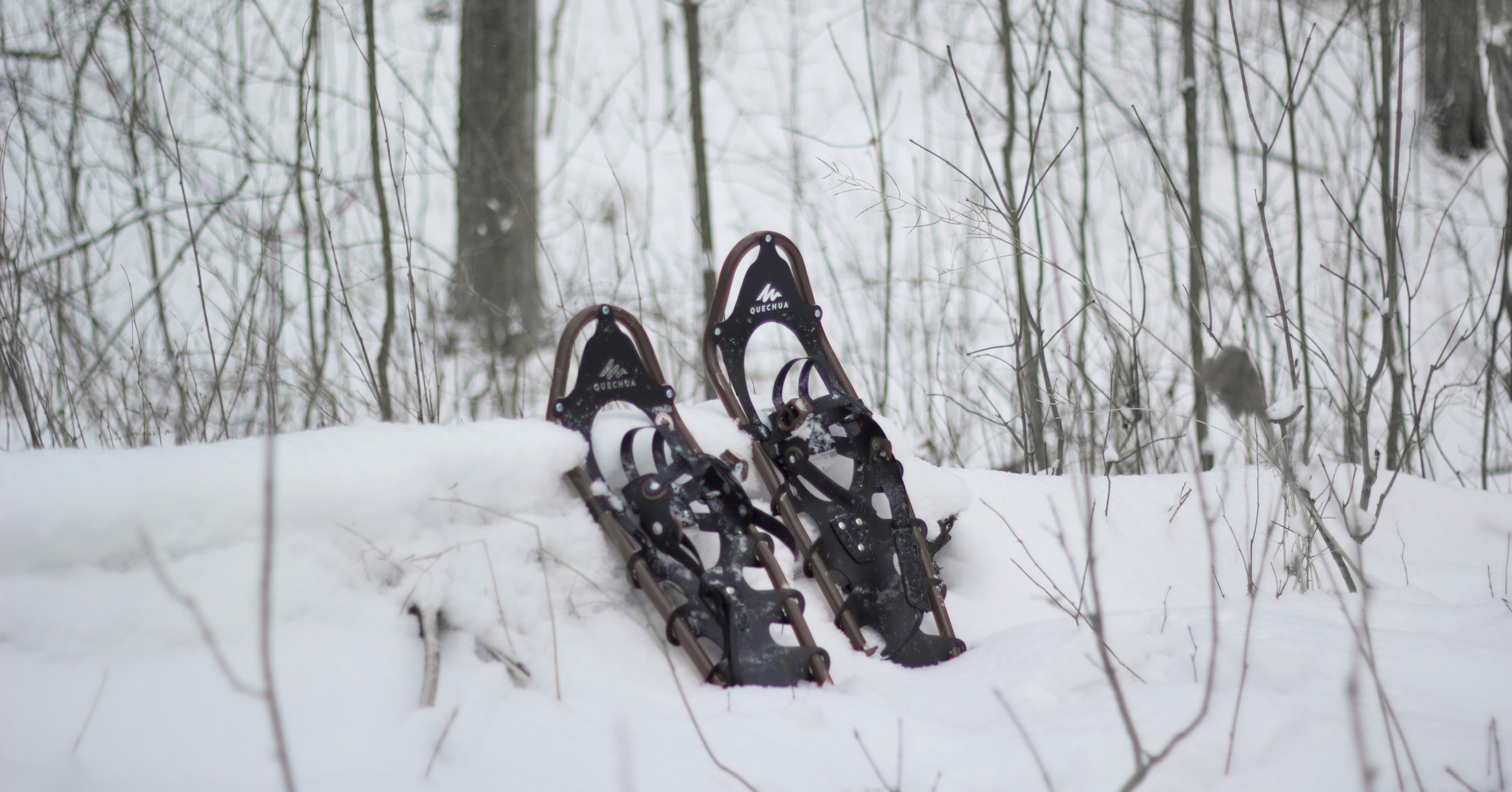 a pair of skis laying in the snow, 