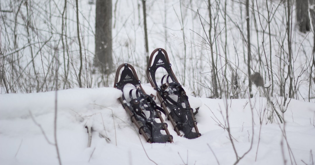 a pair of skis laying in the snow,