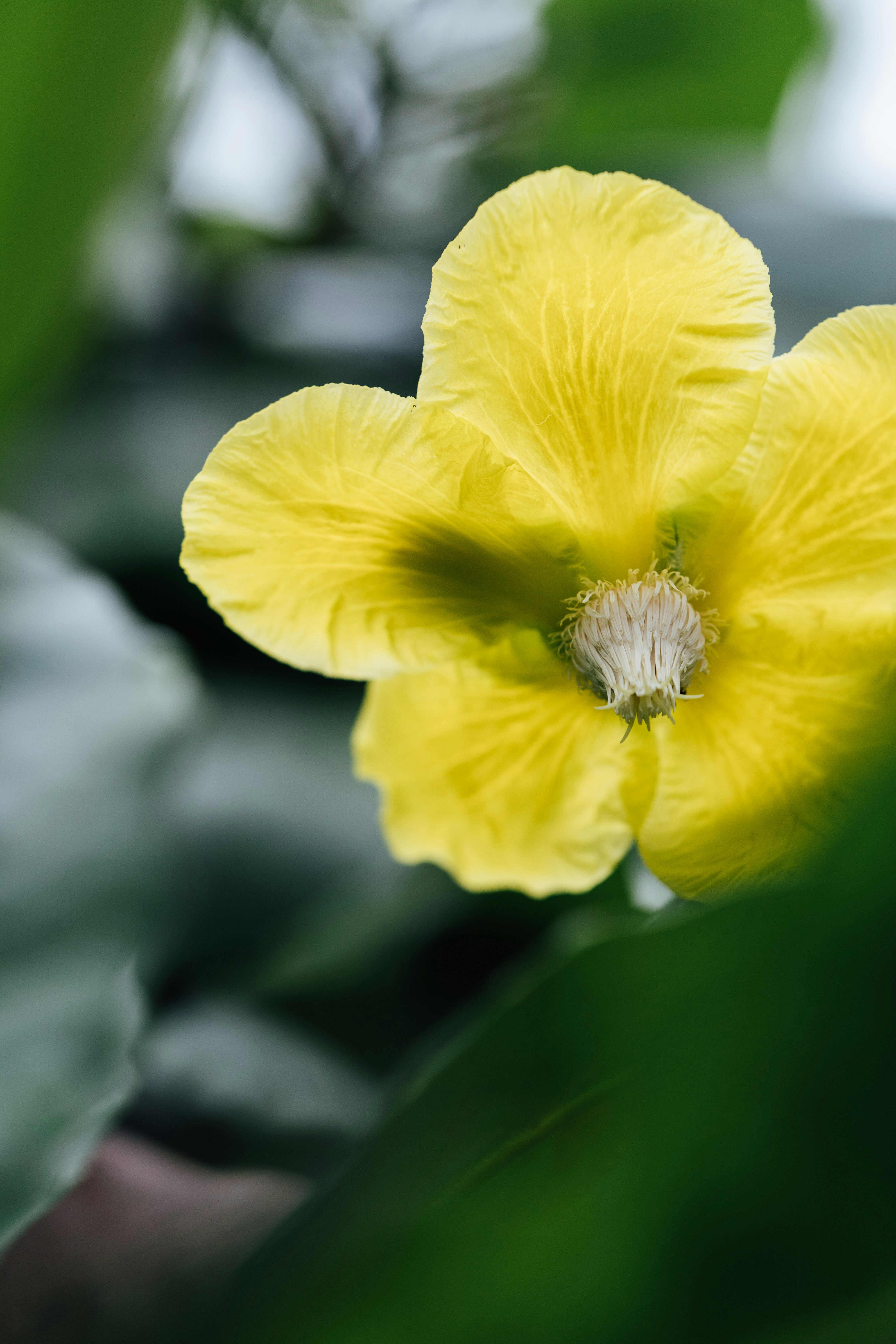 Photo by chuttersnap