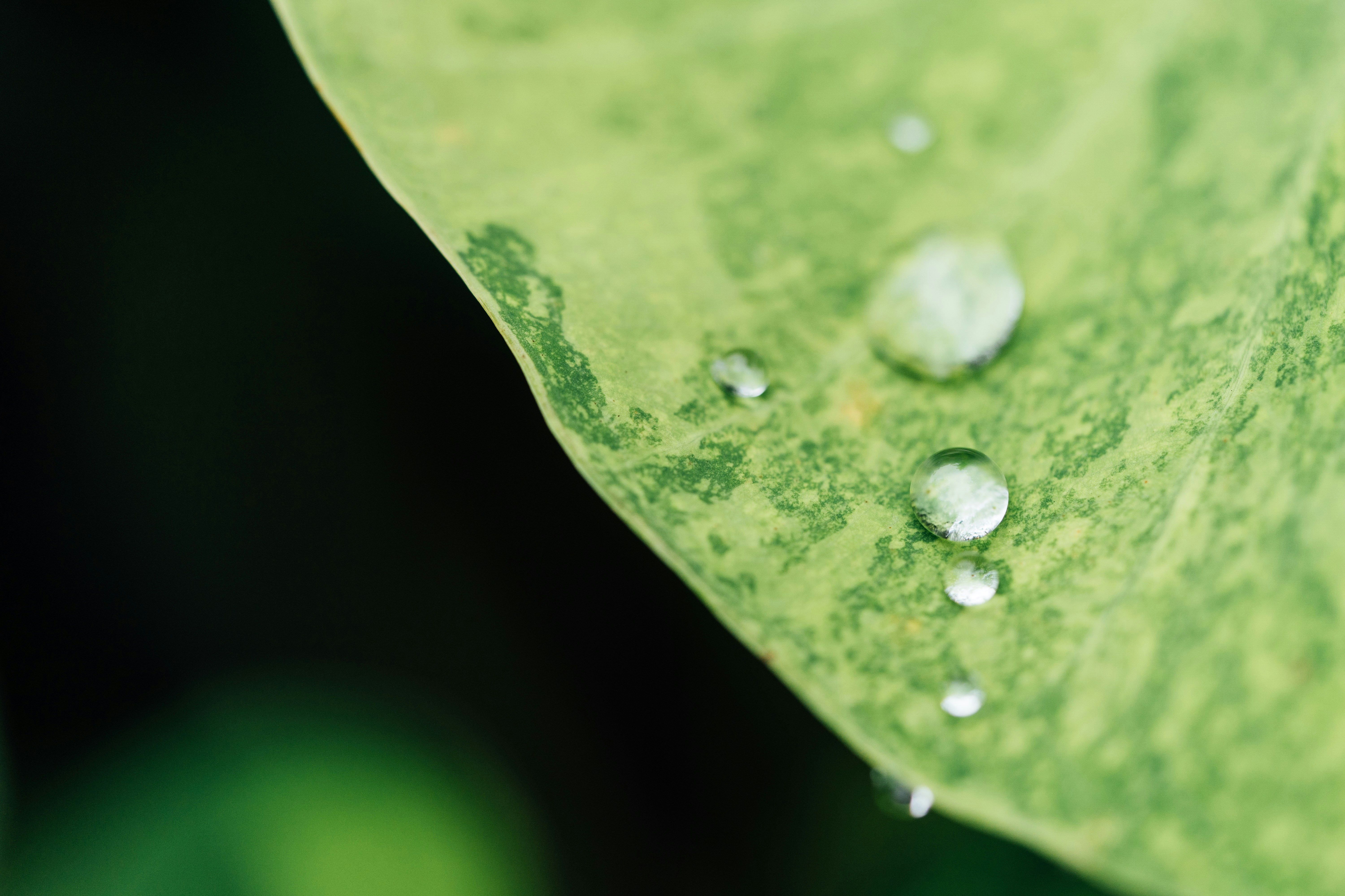 Photo by chuttersnap