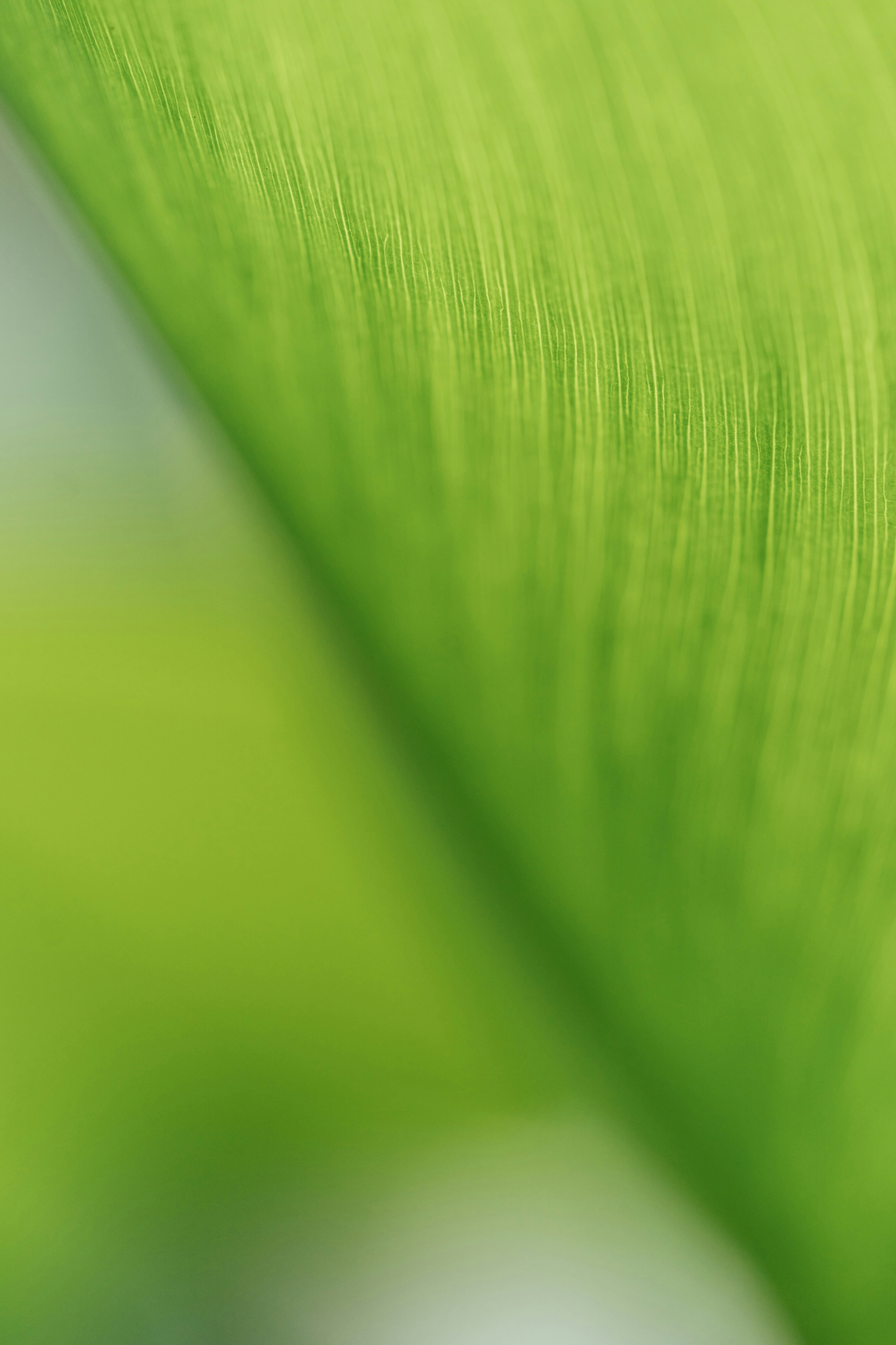 Photo by chuttersnap