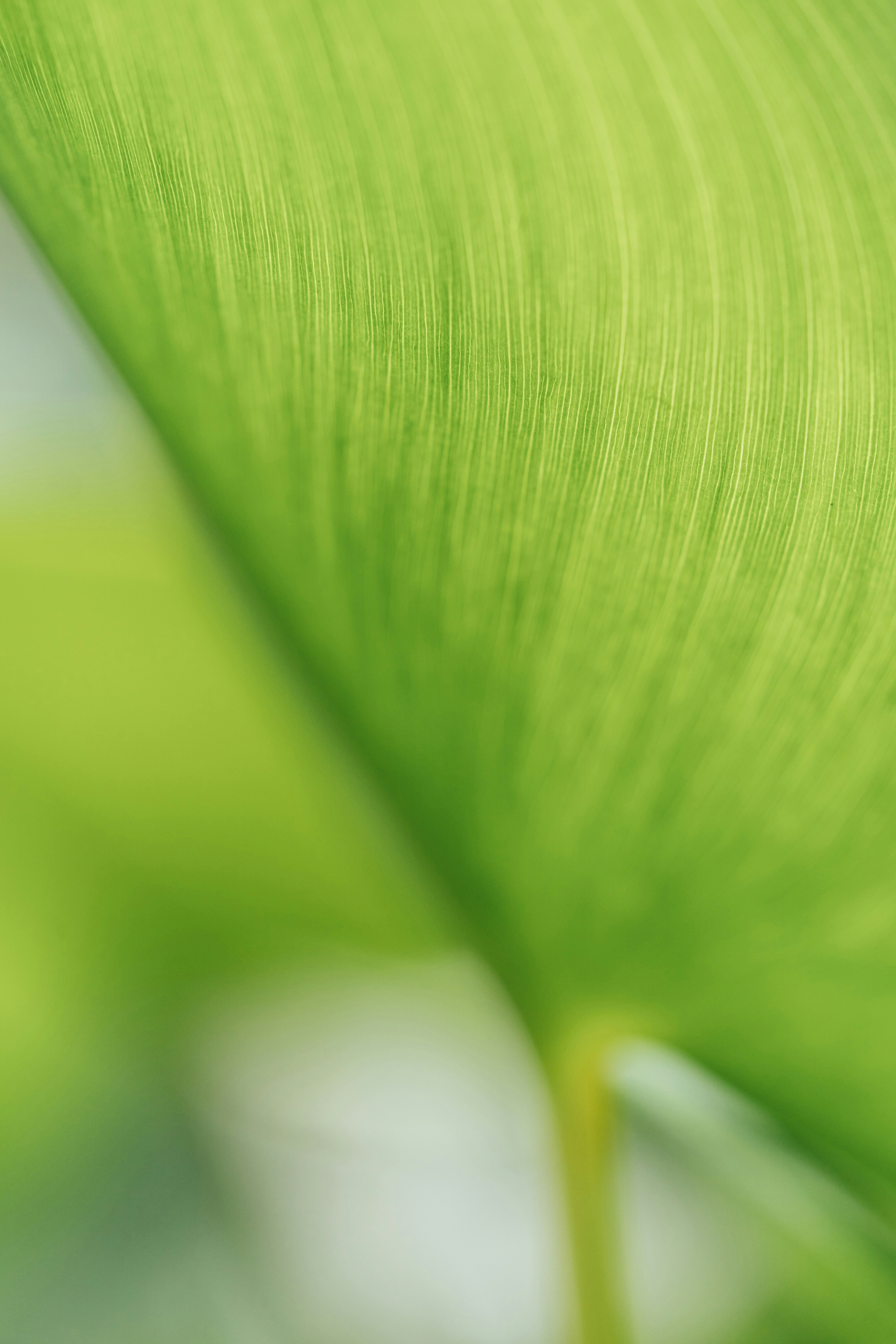 Photo by chuttersnap