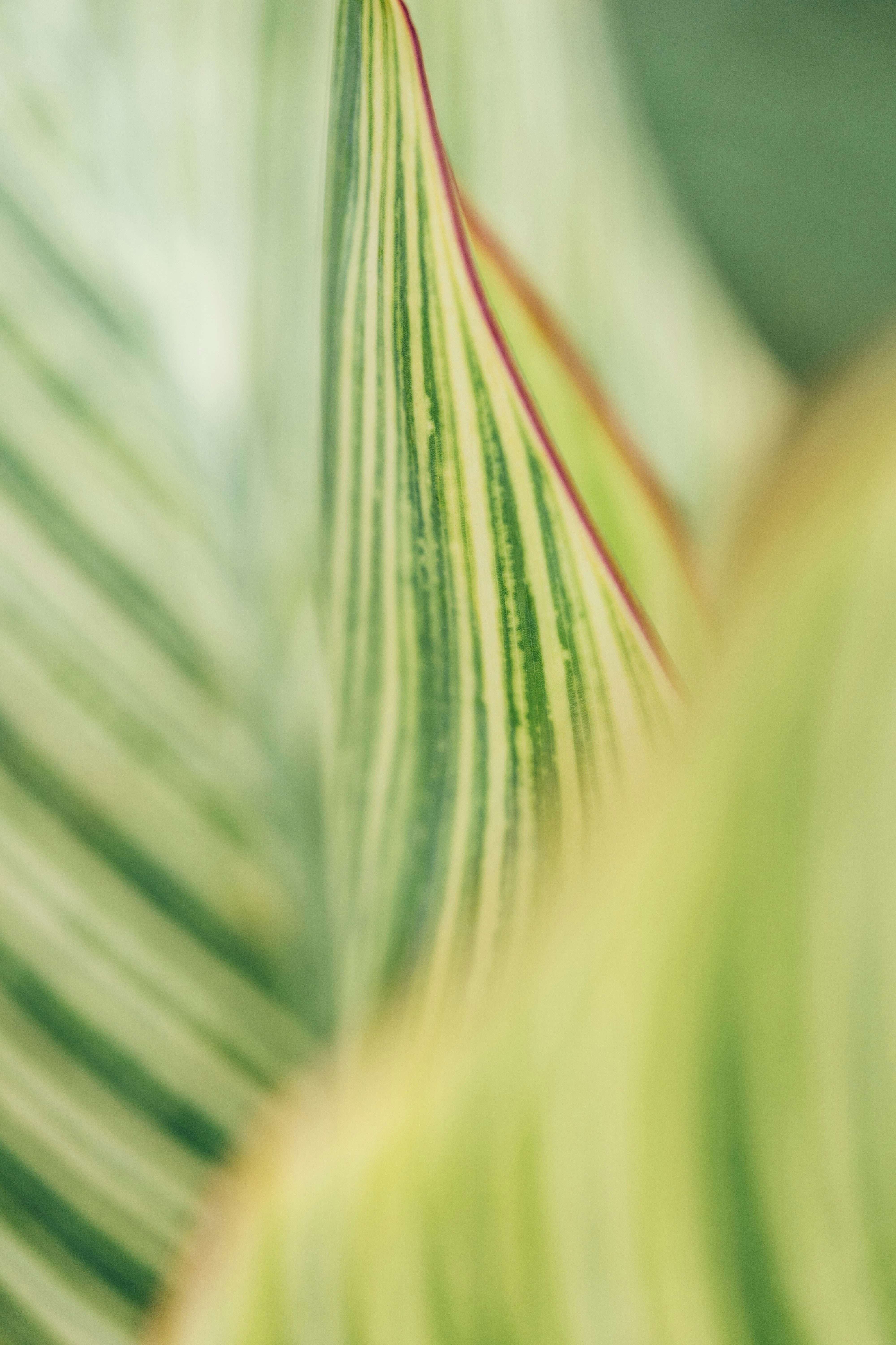 Photo by chuttersnap