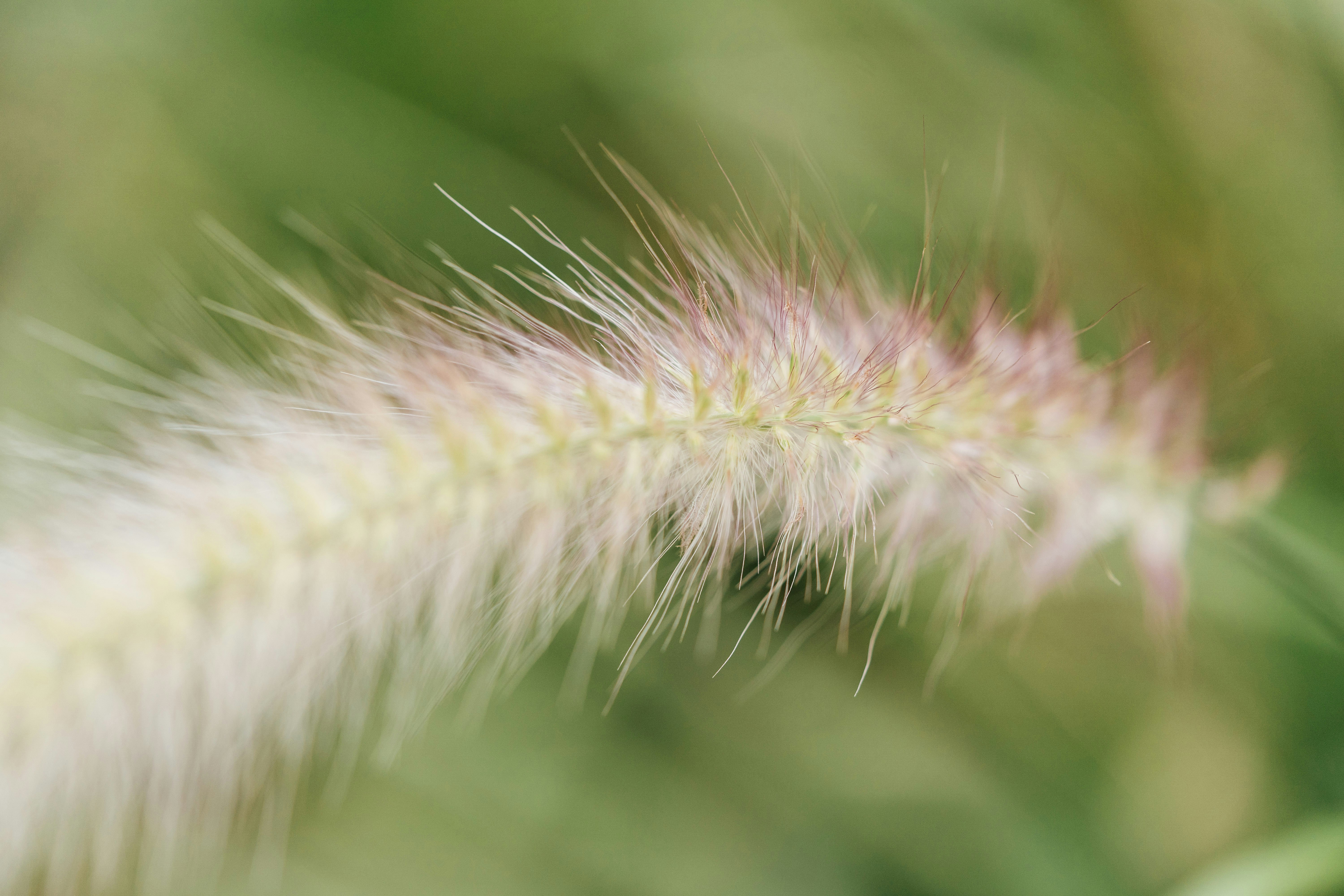 Photo by chuttersnap