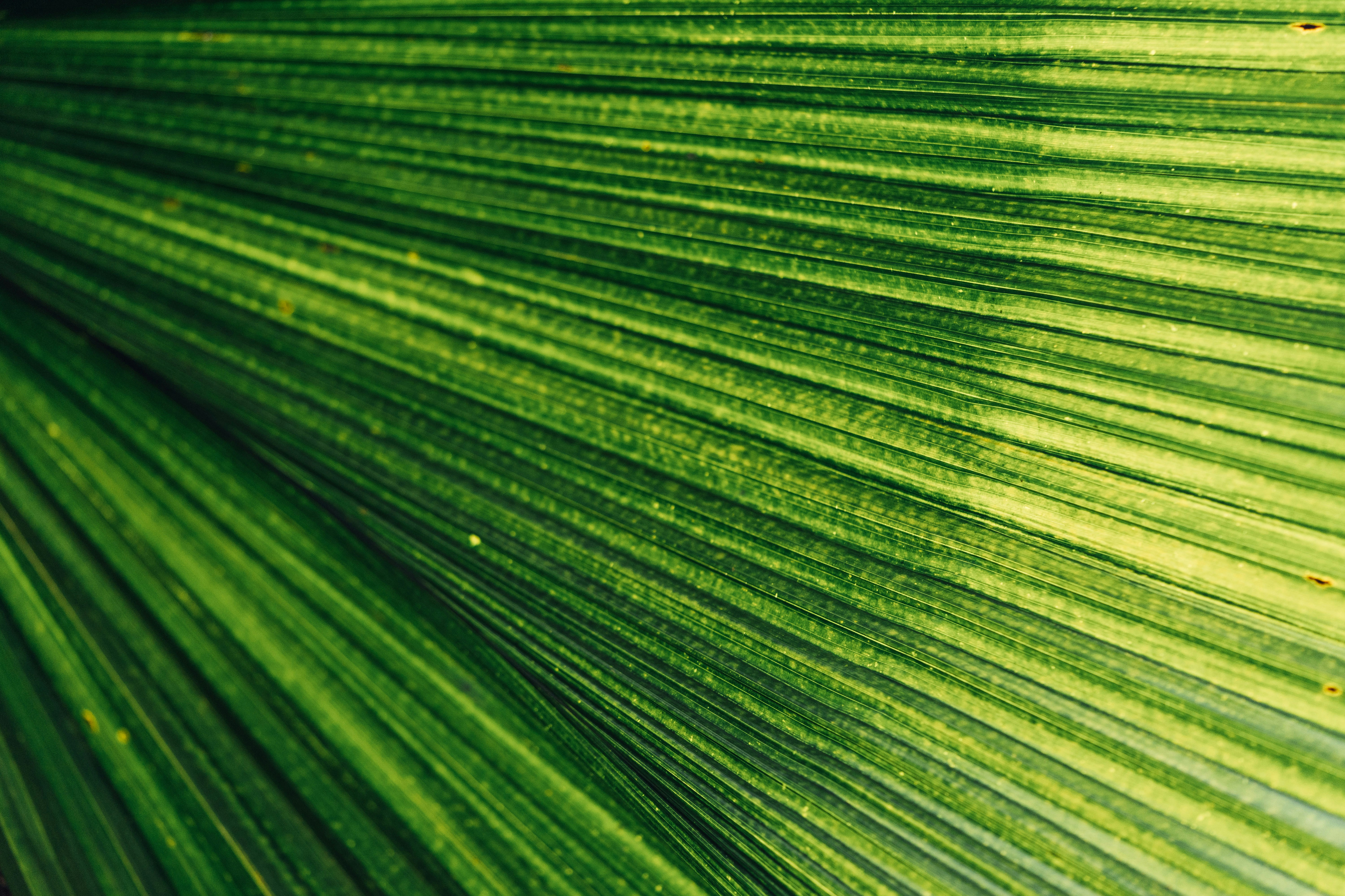 Photo by chuttersnap