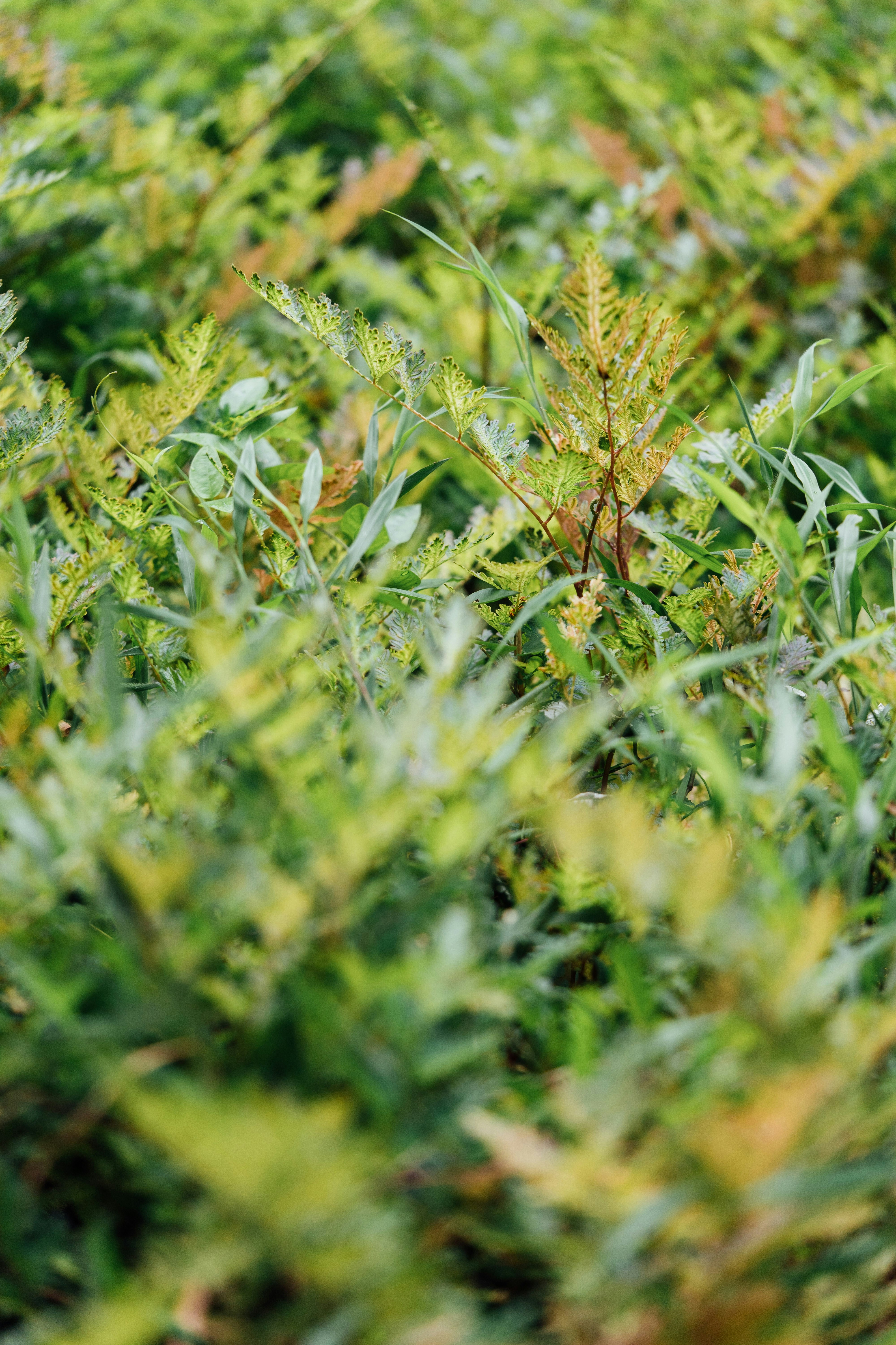 Photo by chuttersnap