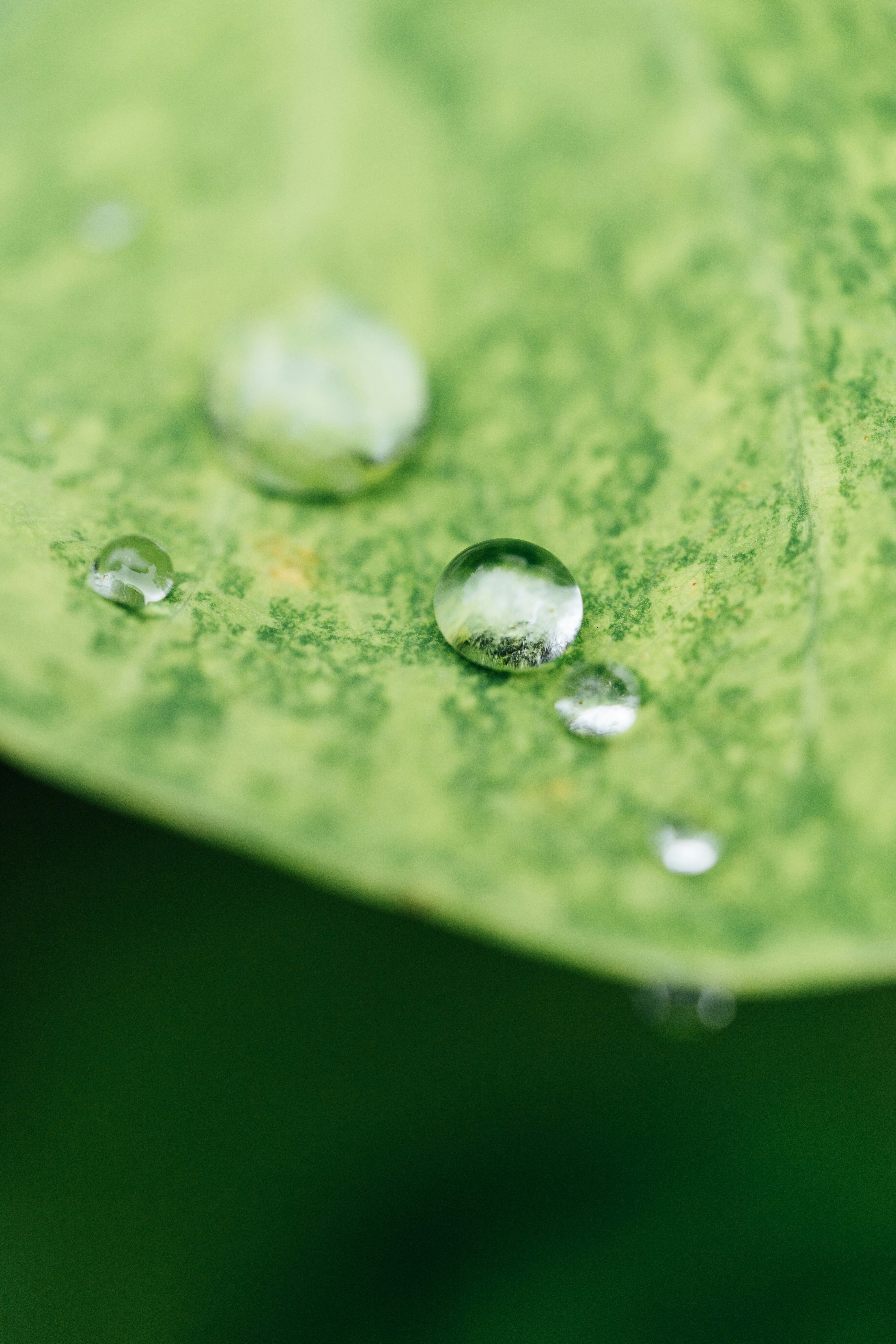 Photo by chuttersnap