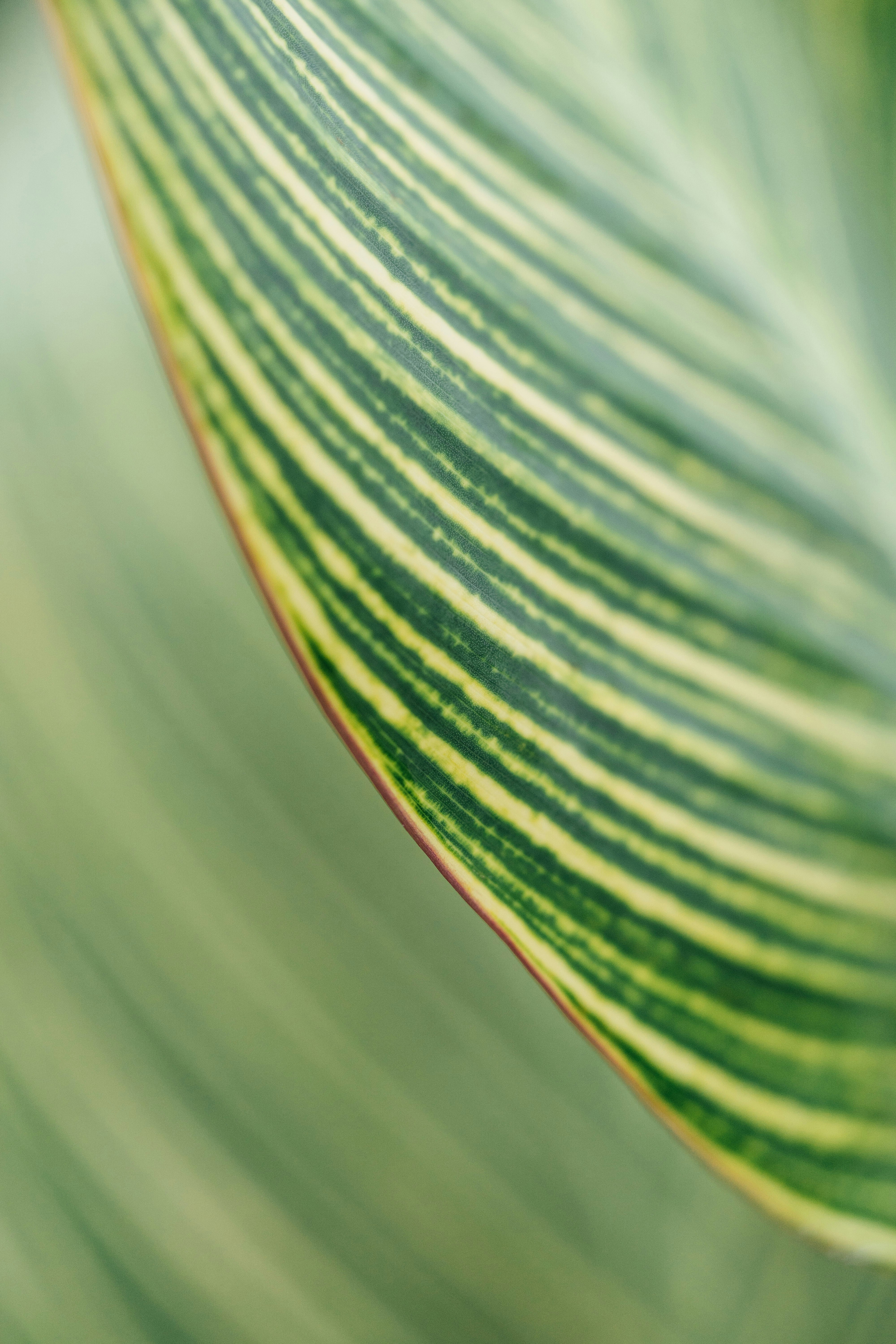 Photo by chuttersnap