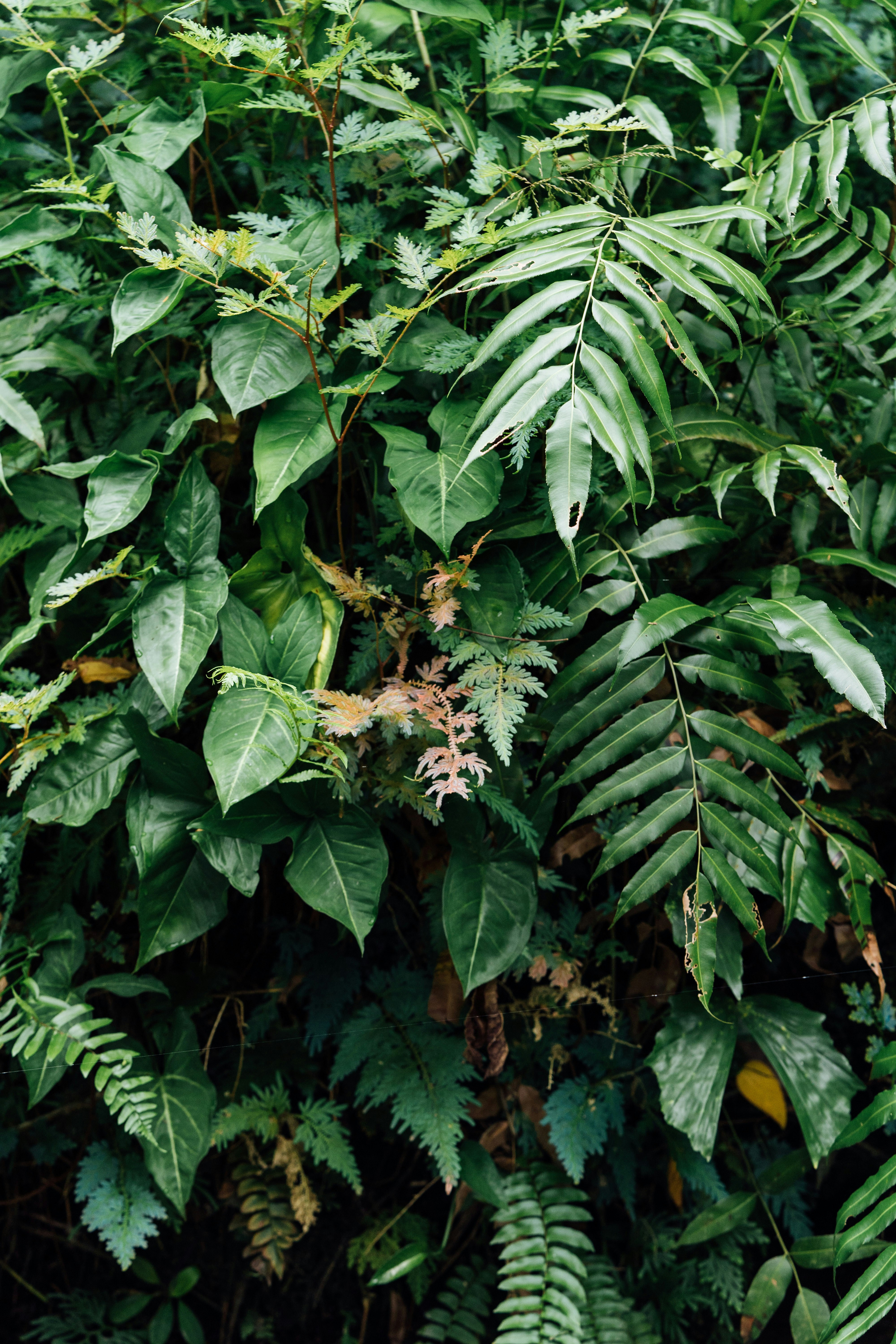 Photo by chuttersnap