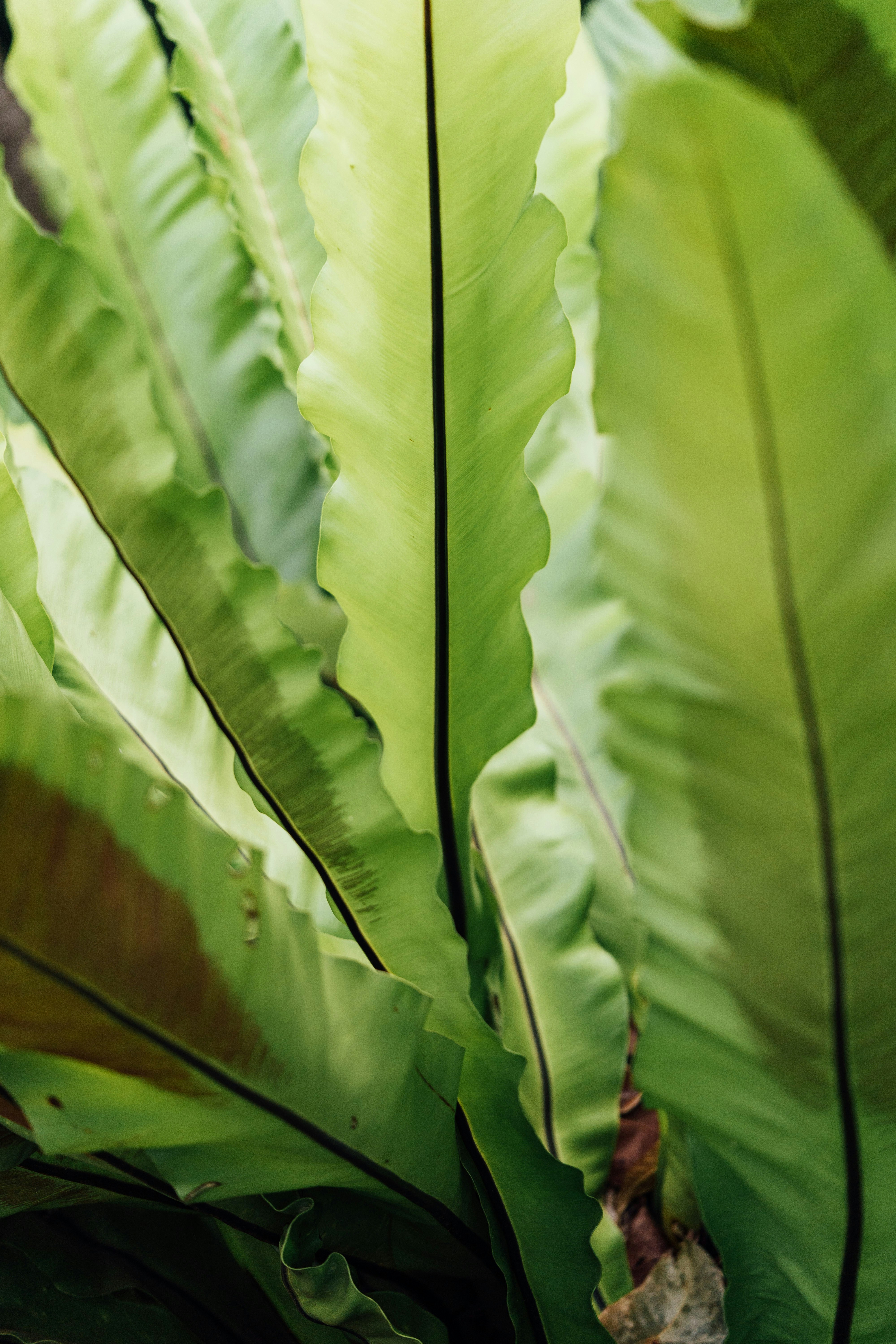 Photo by chuttersnap