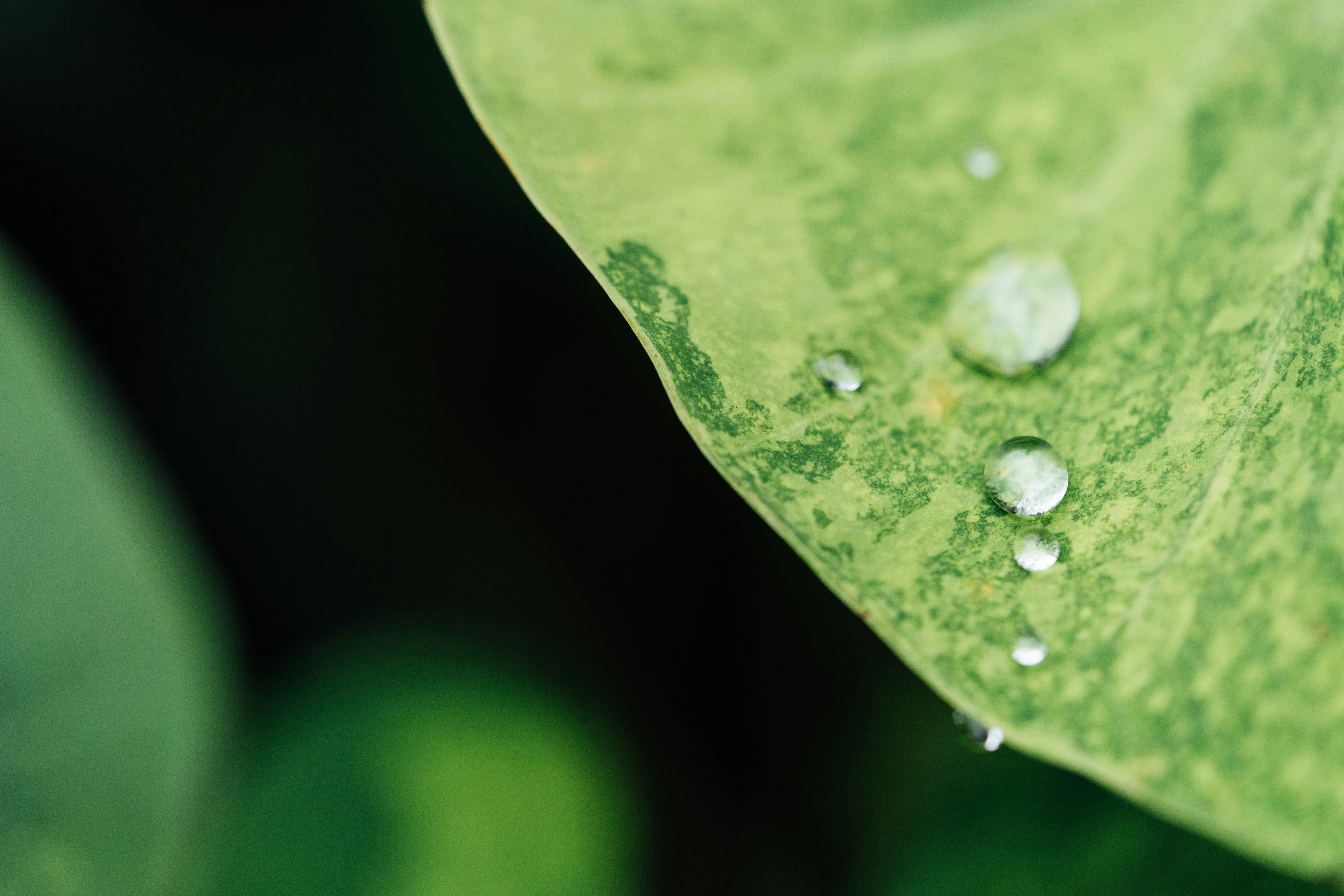 Photo by chuttersnap