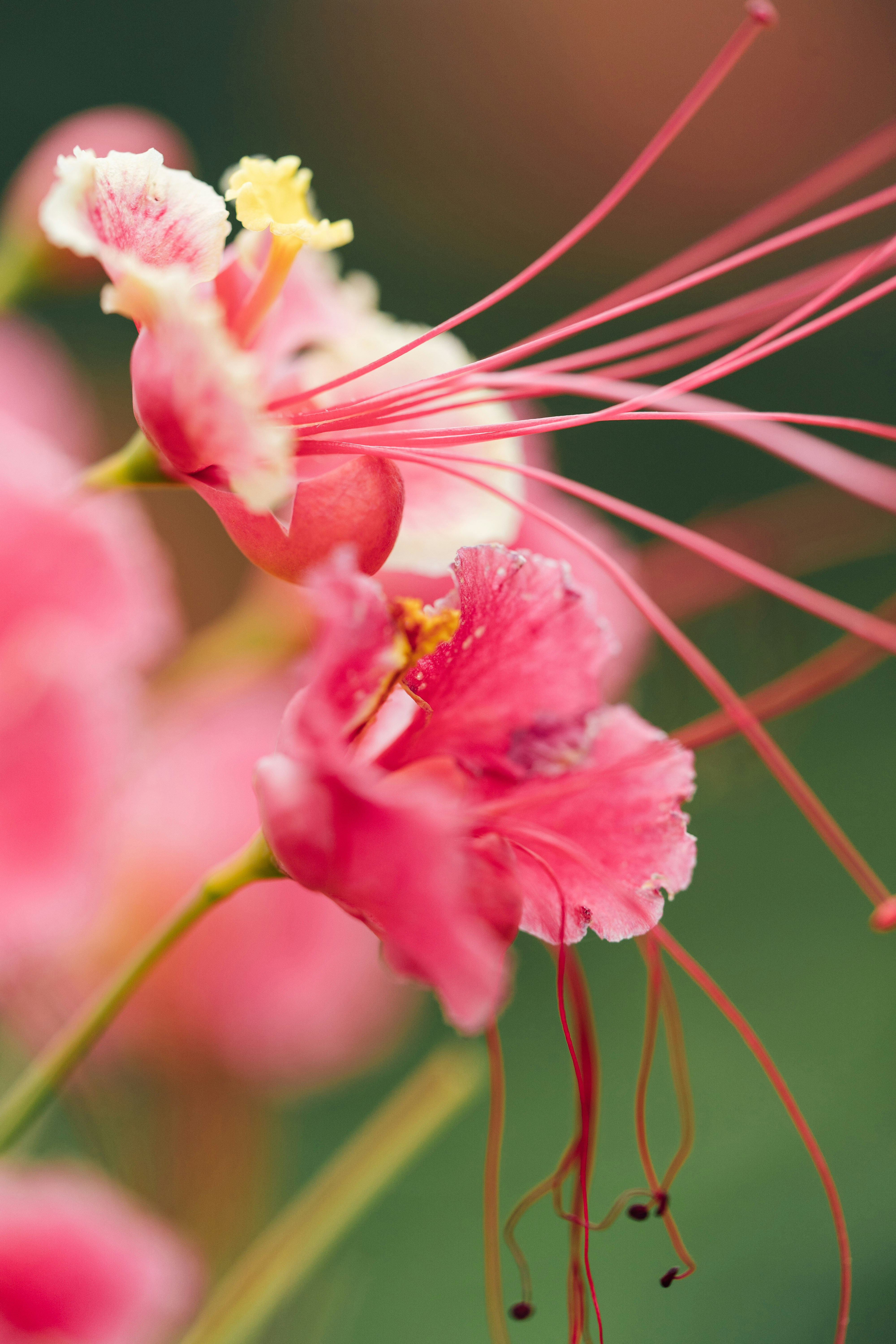 Photo by chuttersnap