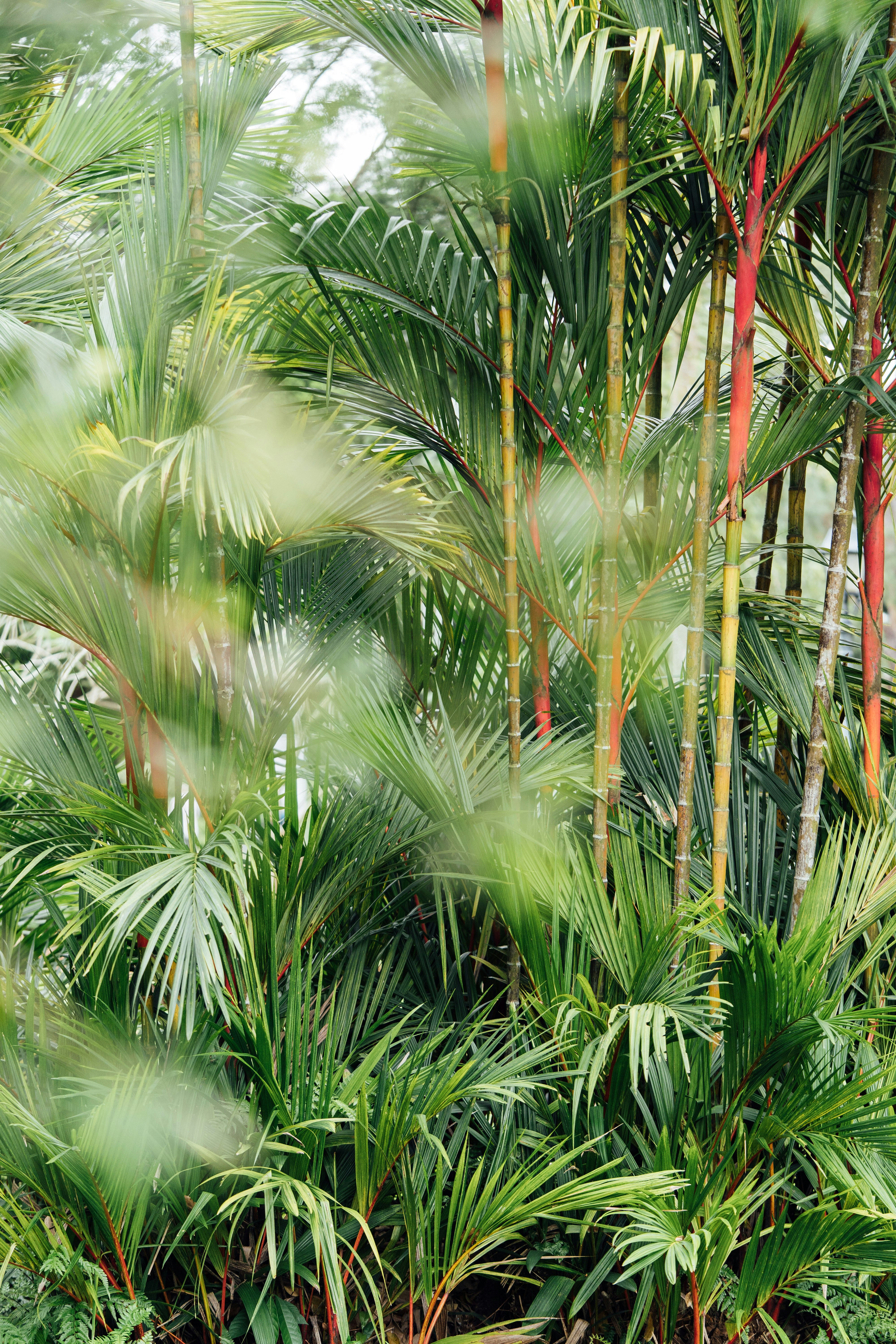 Photo by chuttersnap