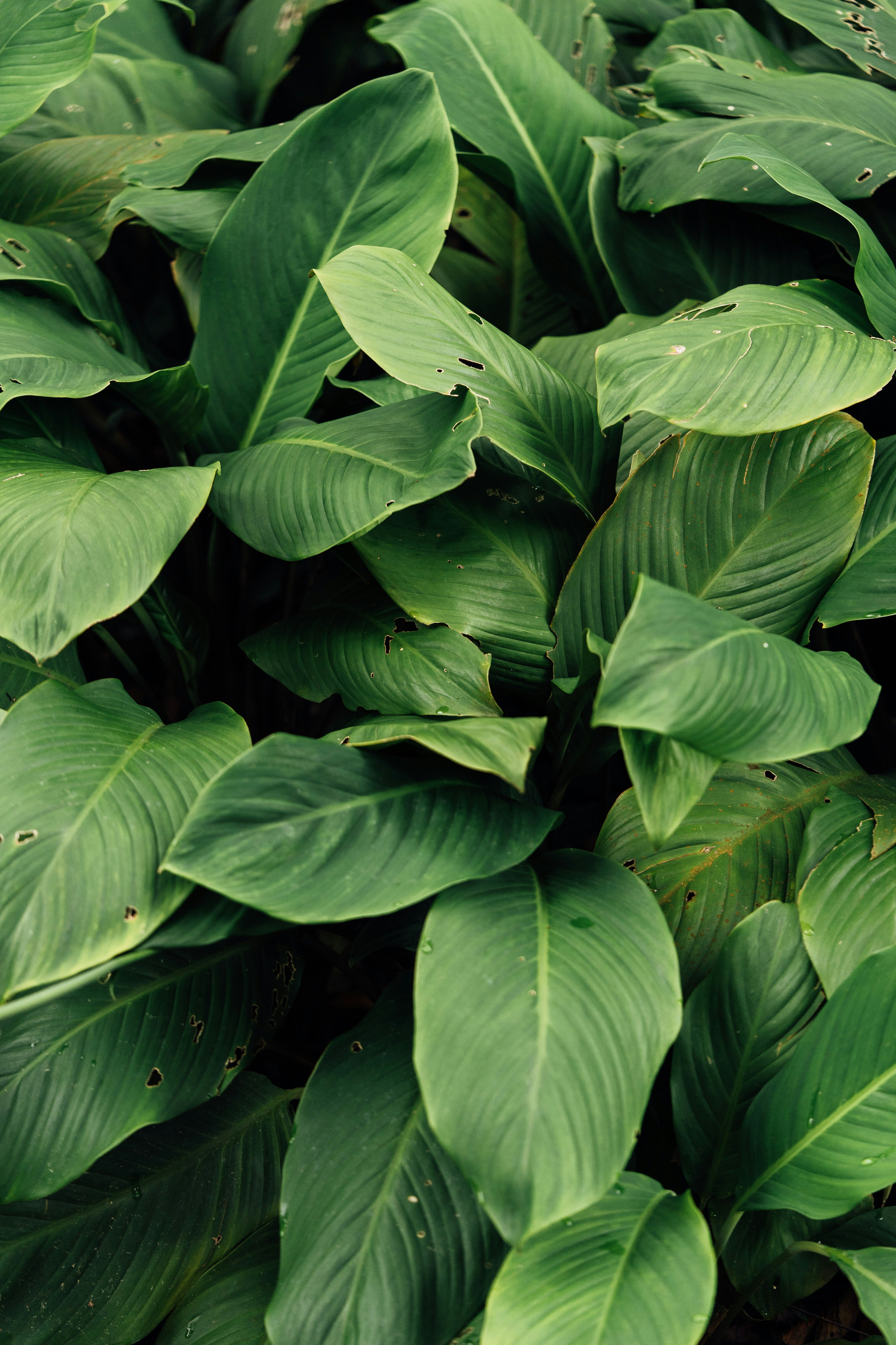 Photo by chuttersnap