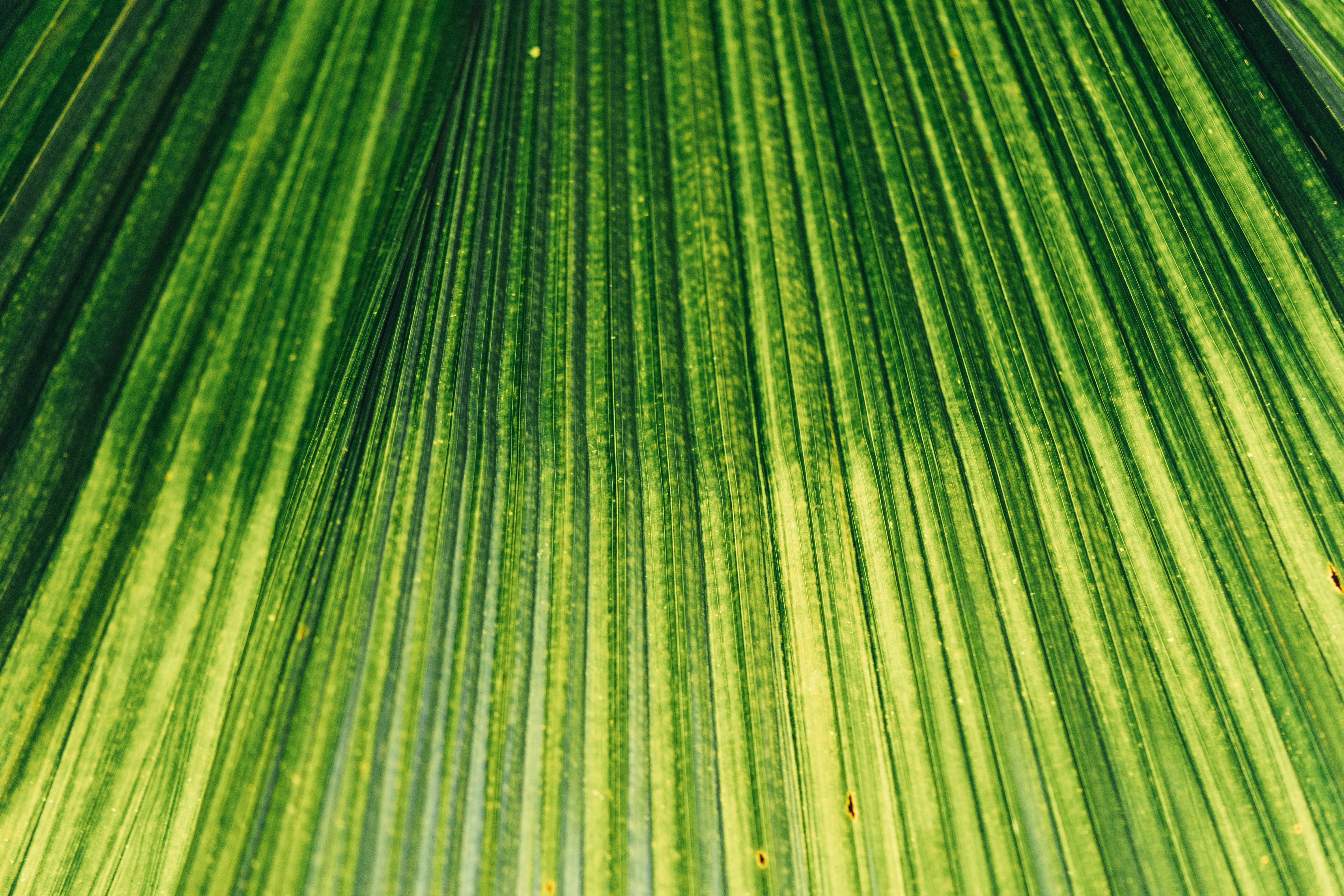 Photo by chuttersnap