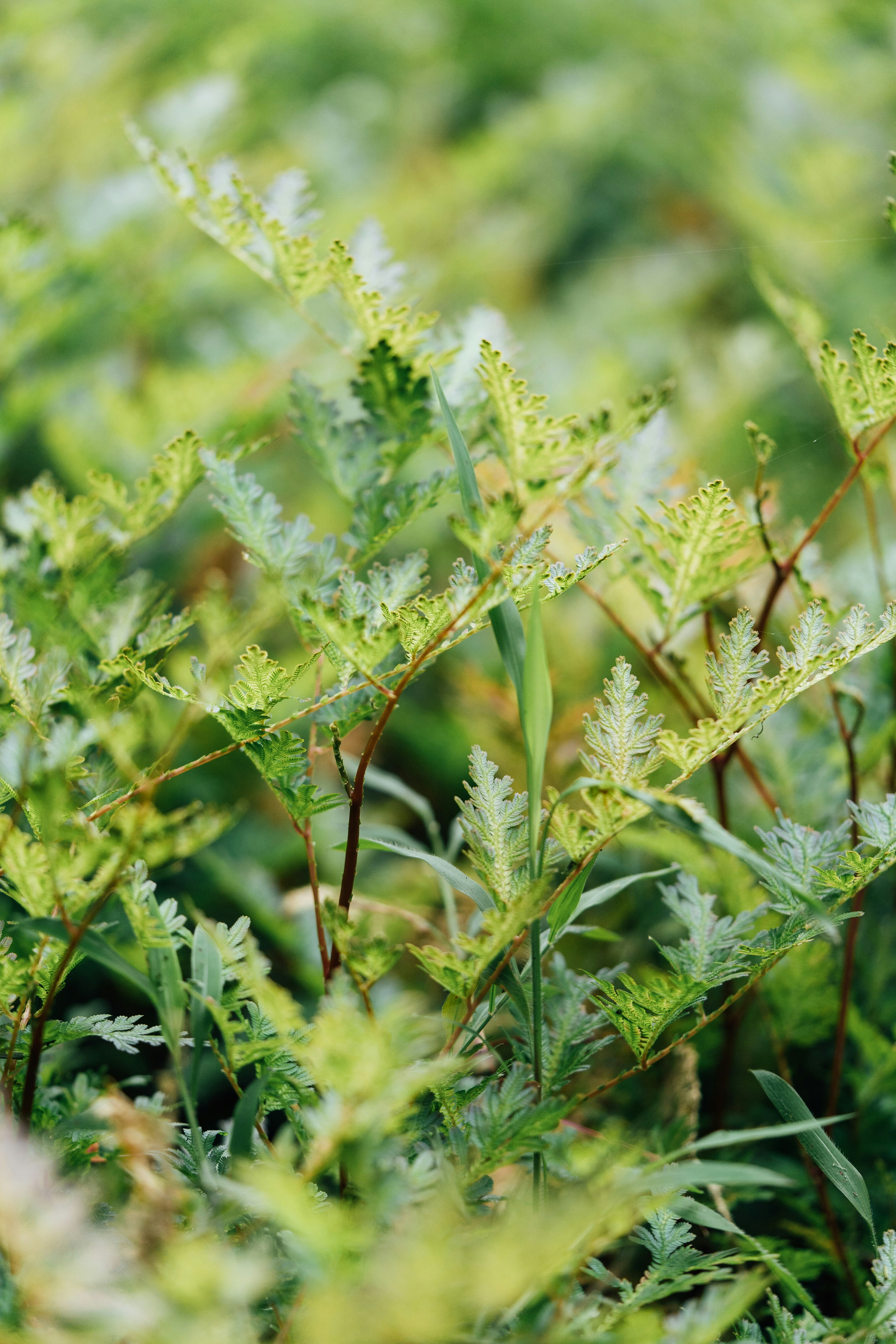 Photo by chuttersnap