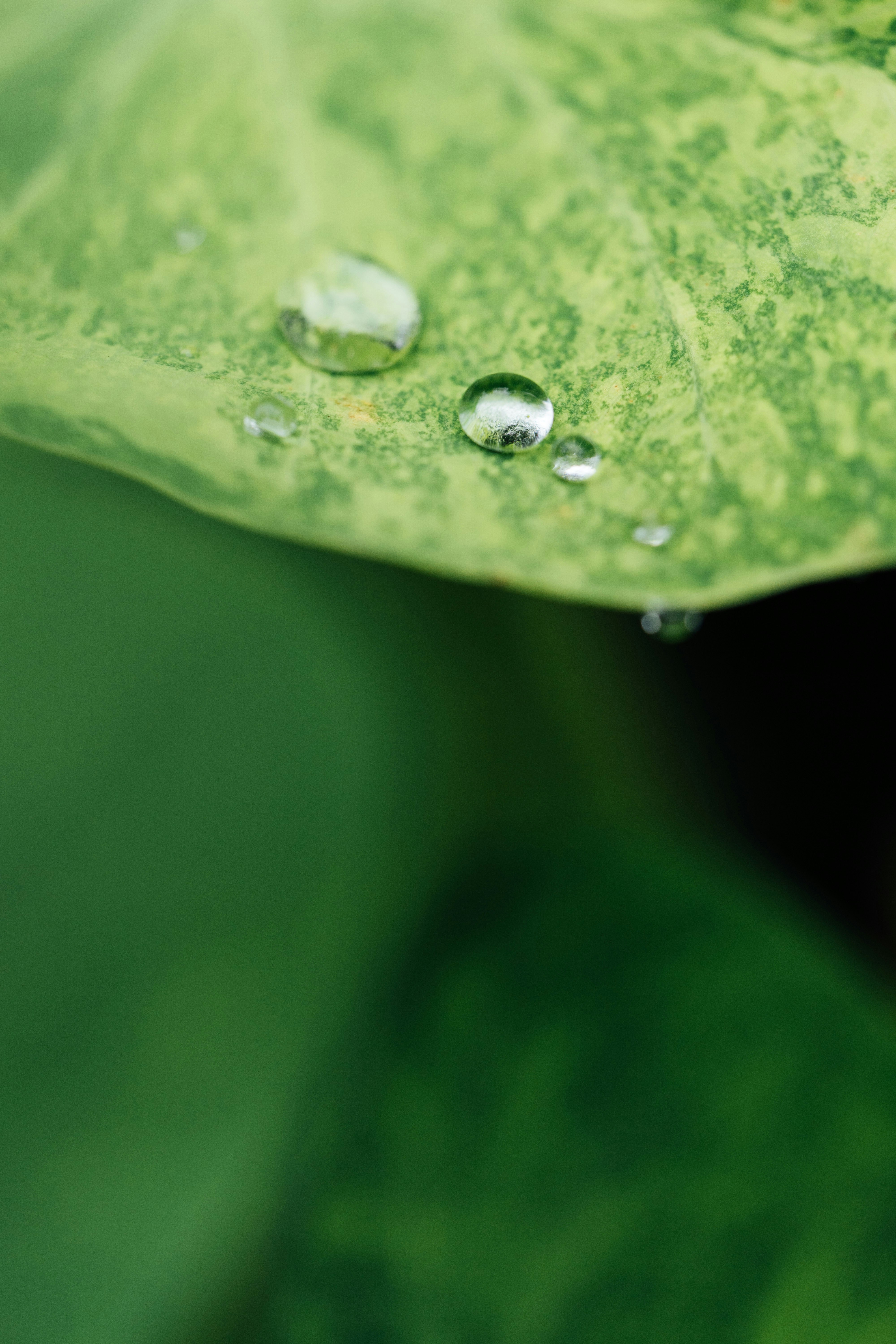 Photo by chuttersnap