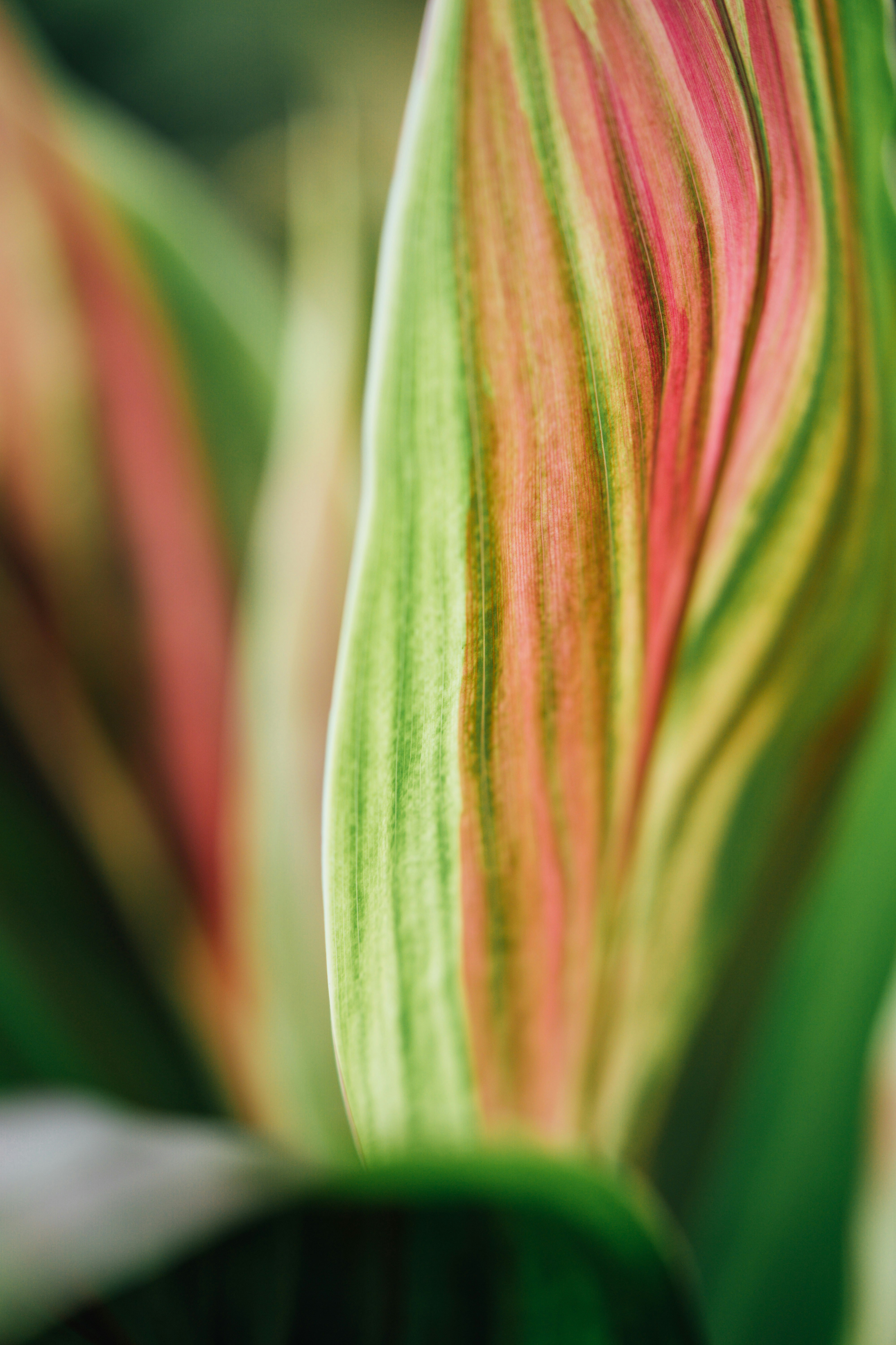 Photo by chuttersnap