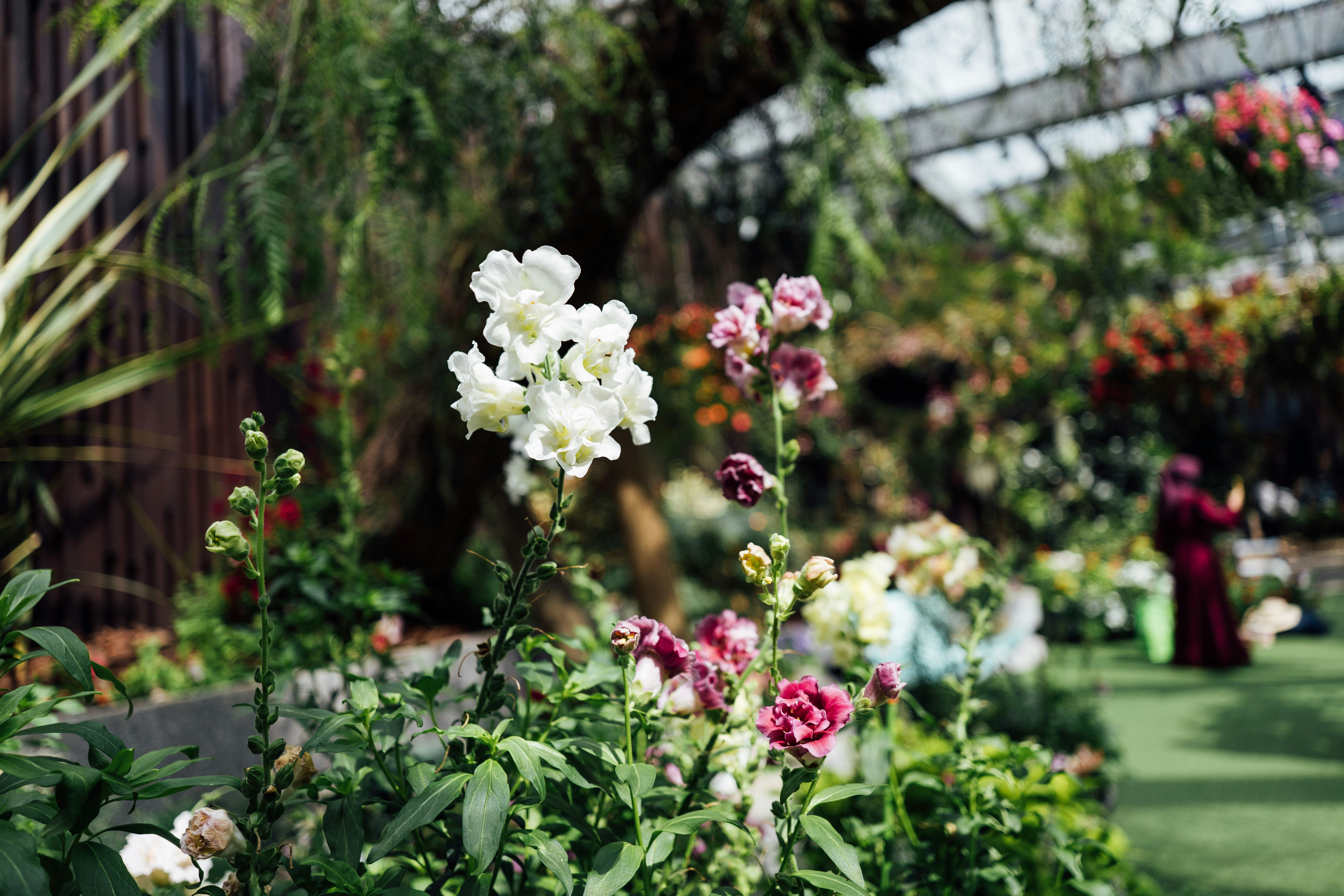 Photo by chuttersnap