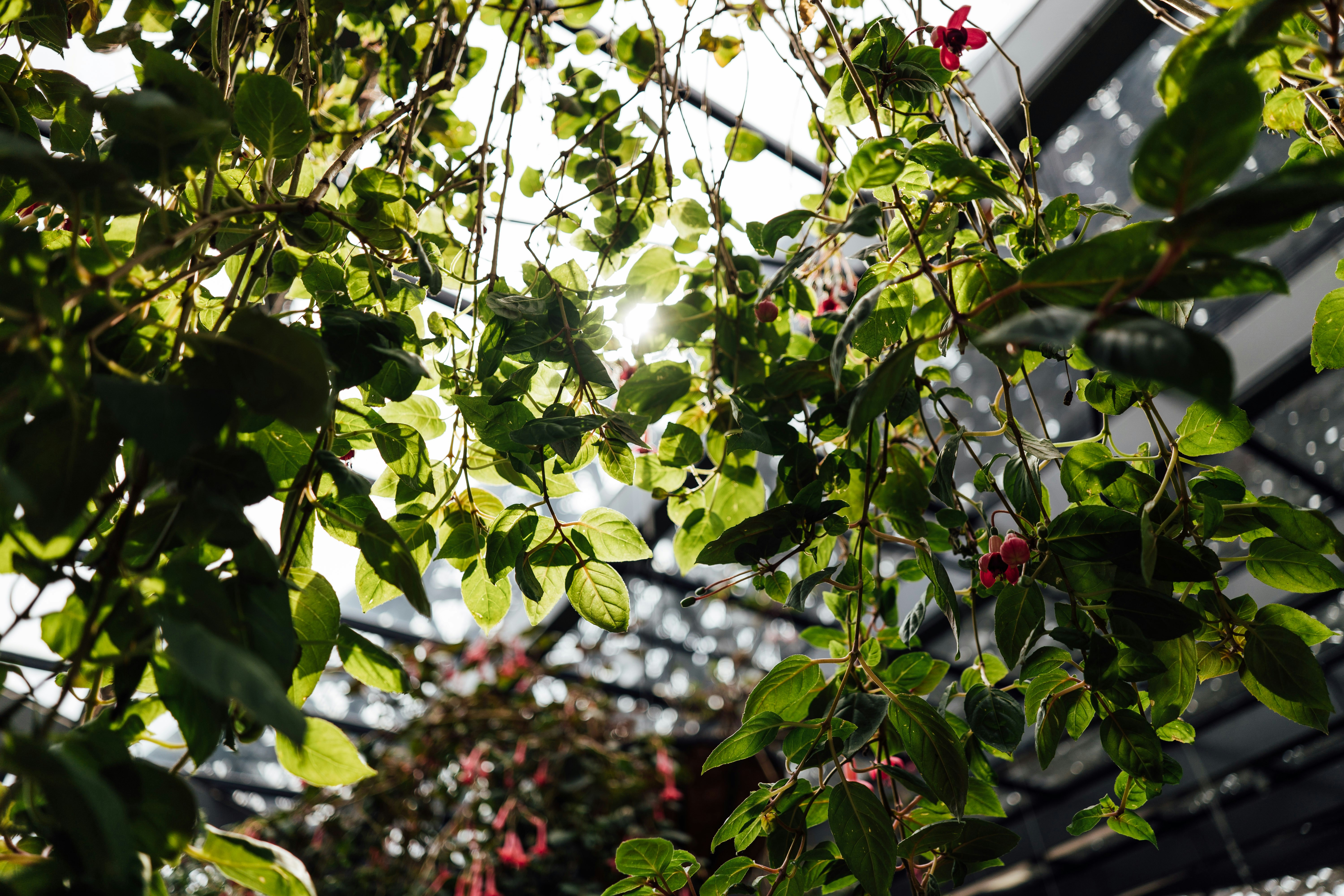 Photo by chuttersnap