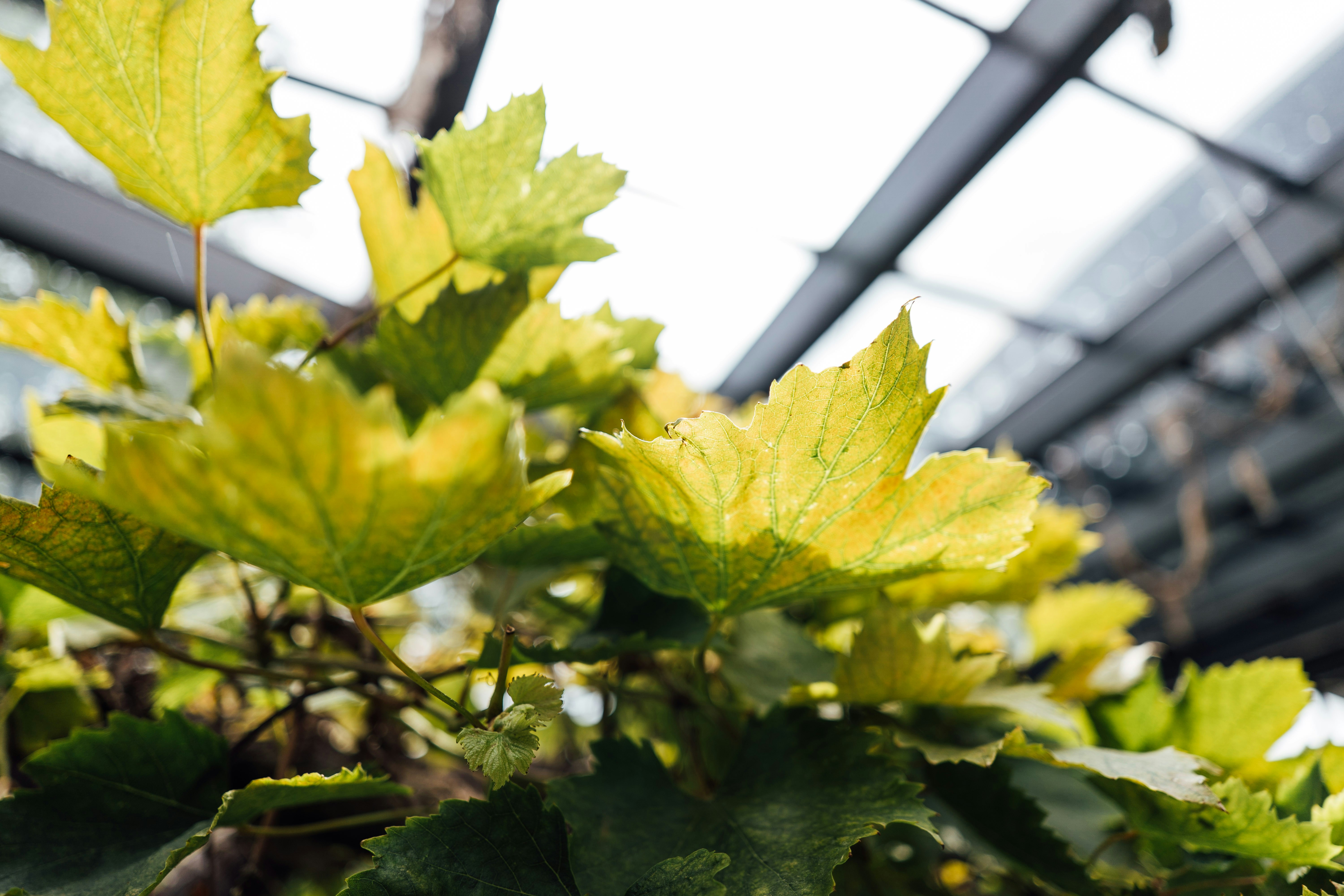 Photo by chuttersnap