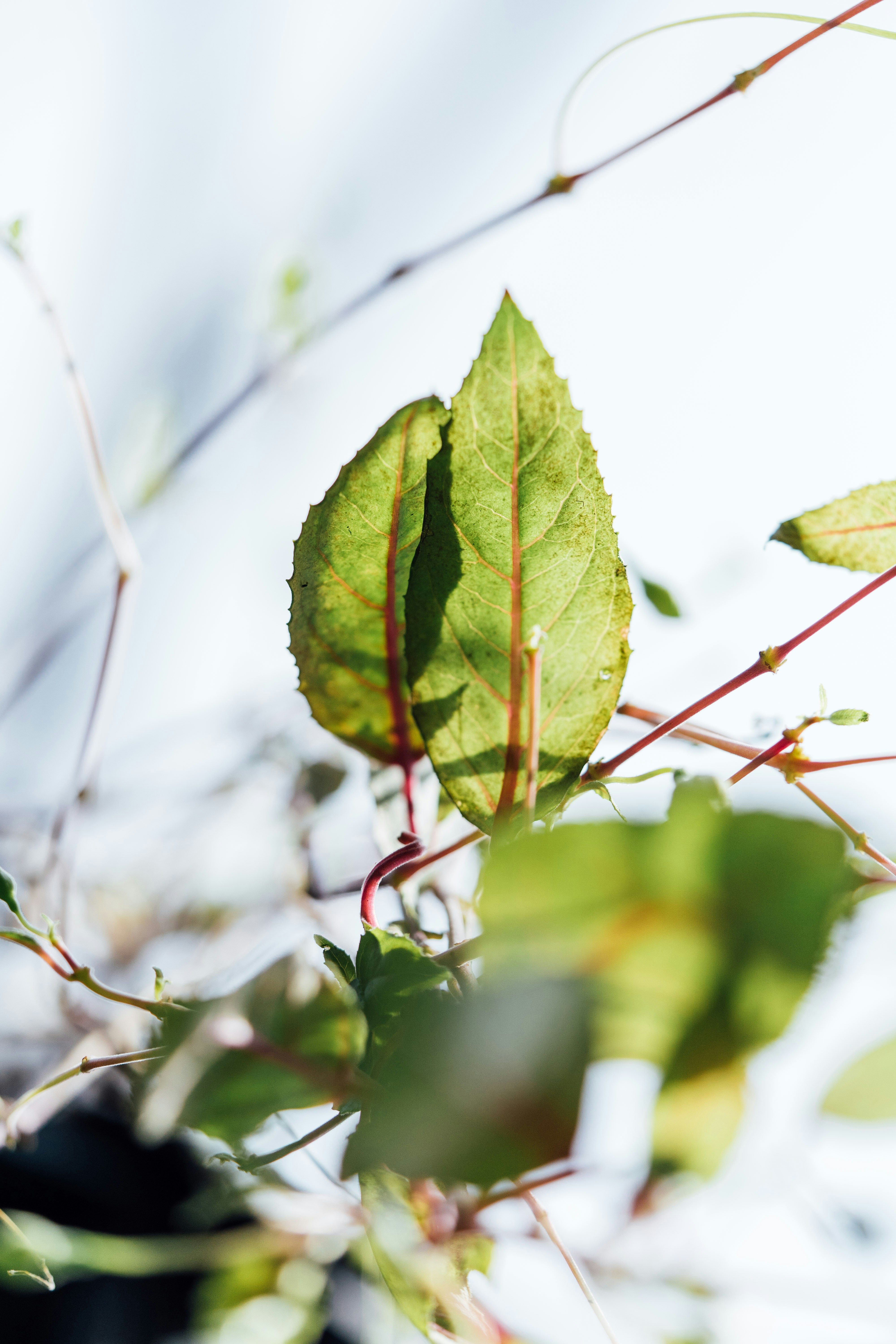 Photo by chuttersnap