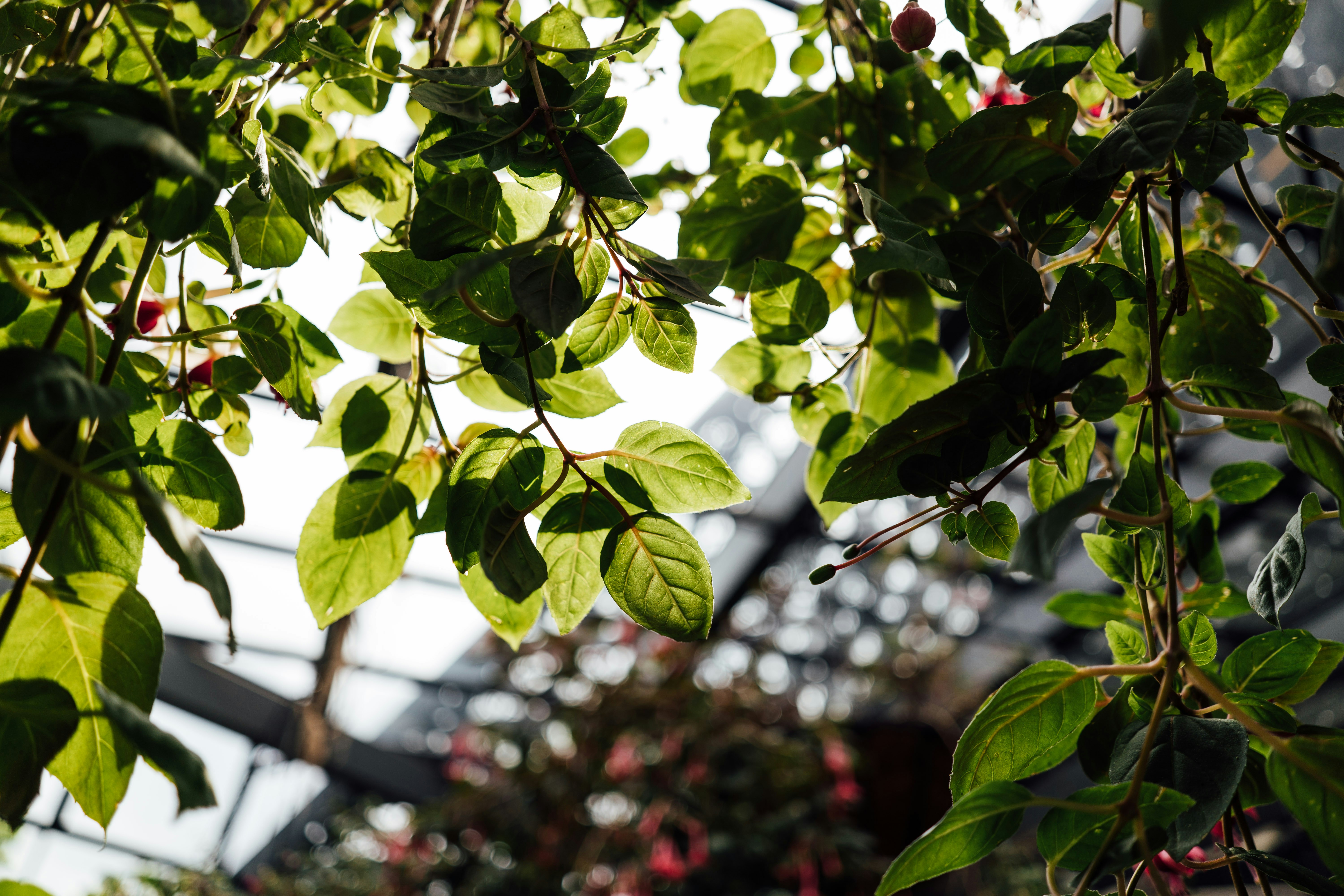 Photo by chuttersnap