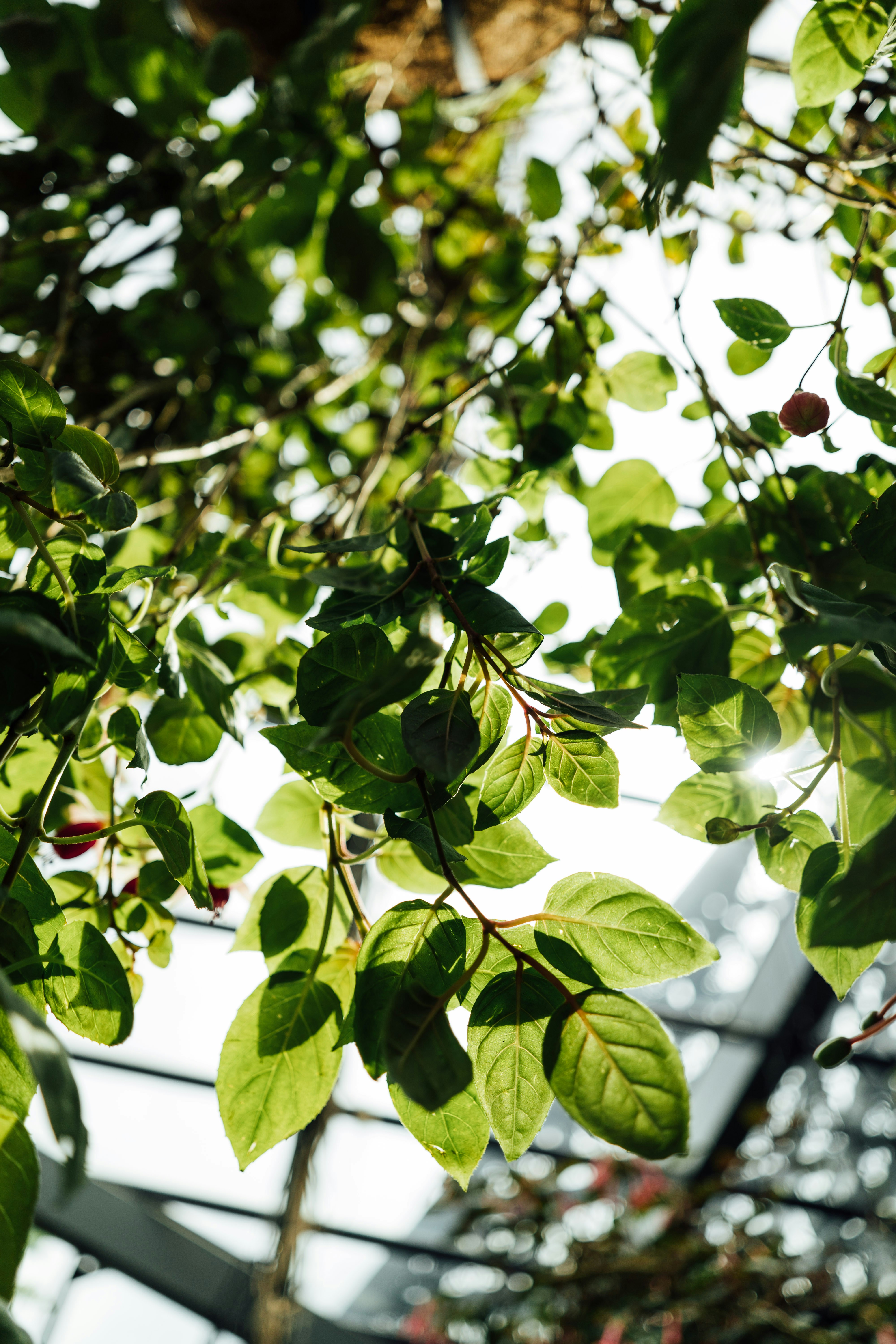 Photo by chuttersnap