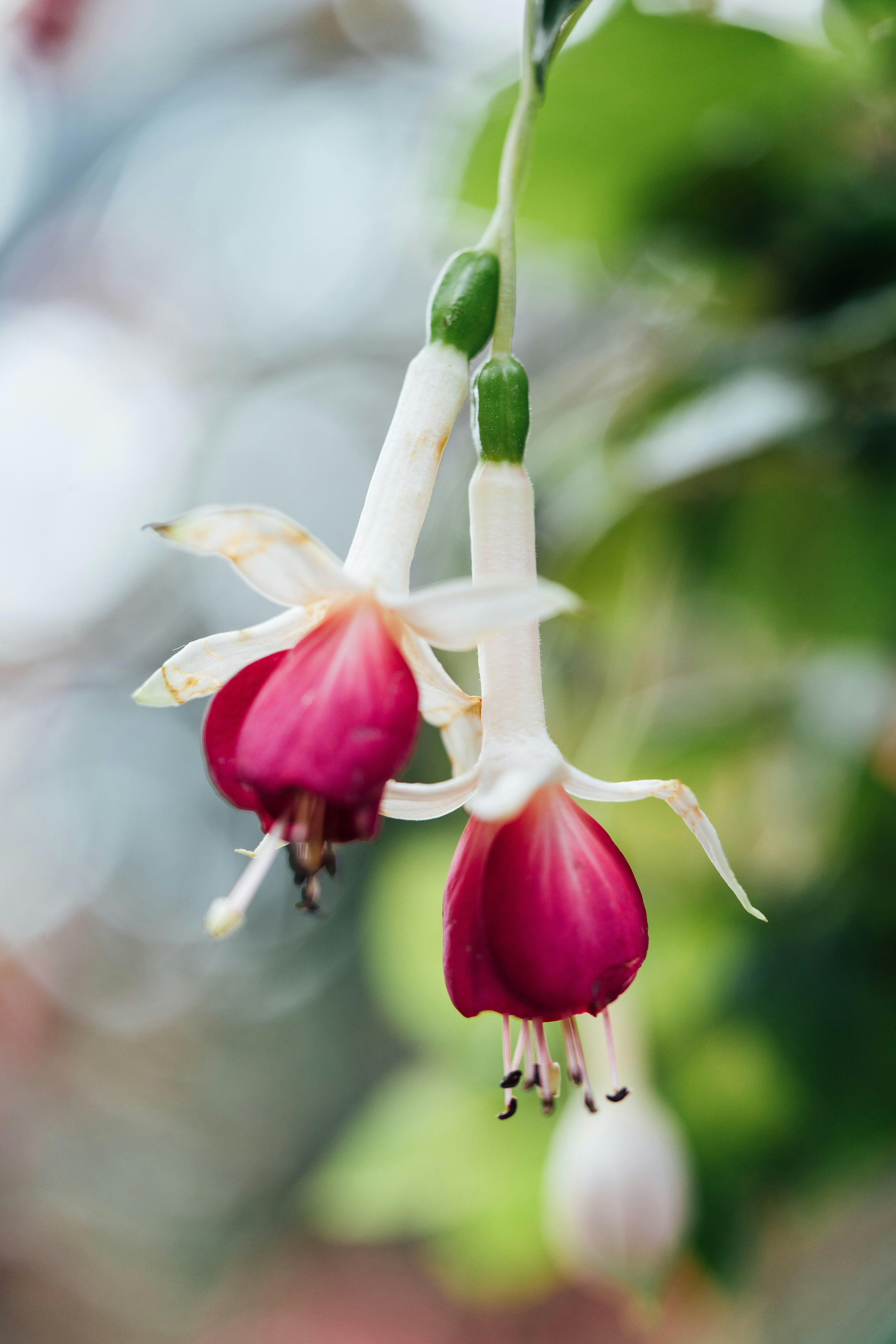 Photo by chuttersnap