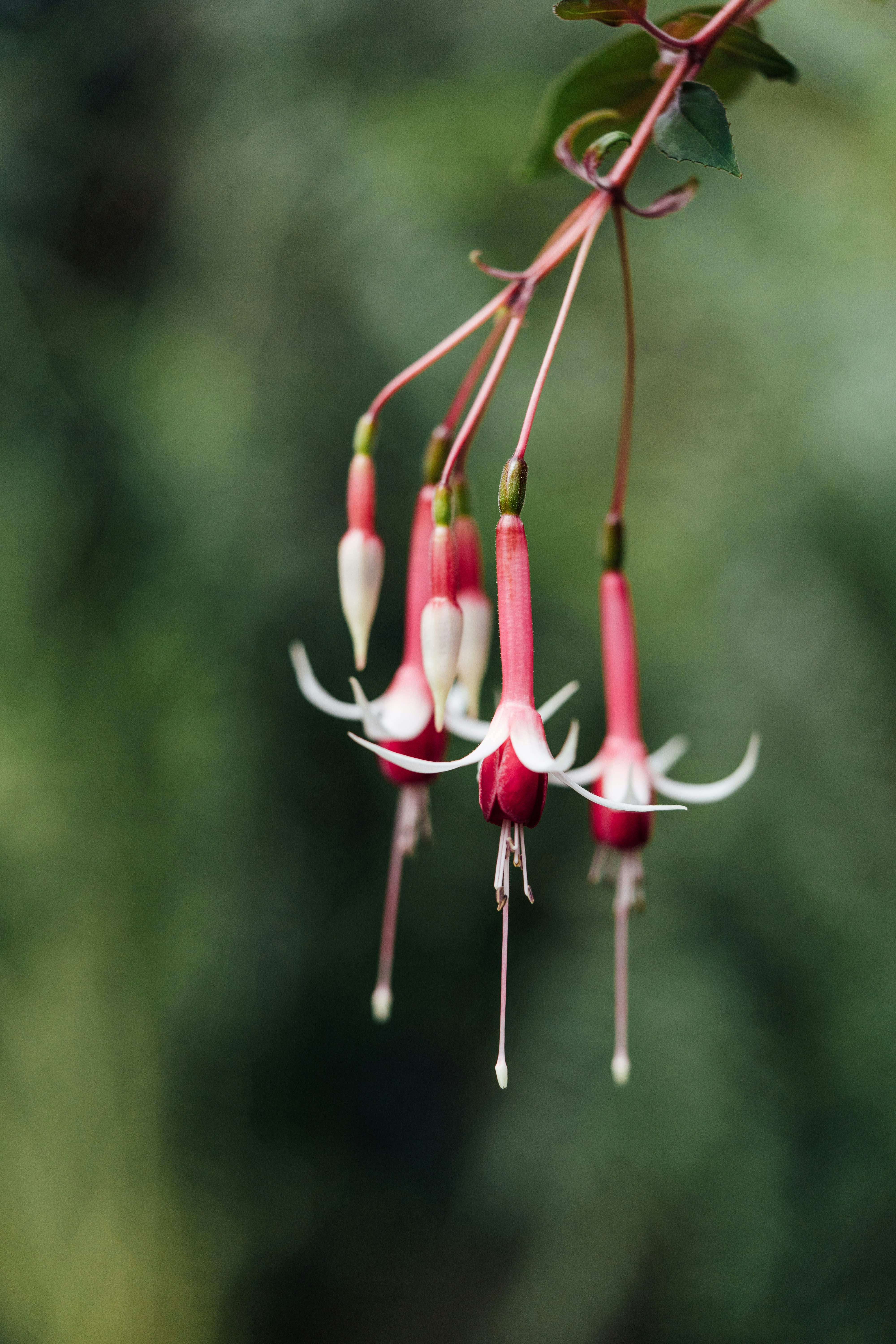 Photo by chuttersnap