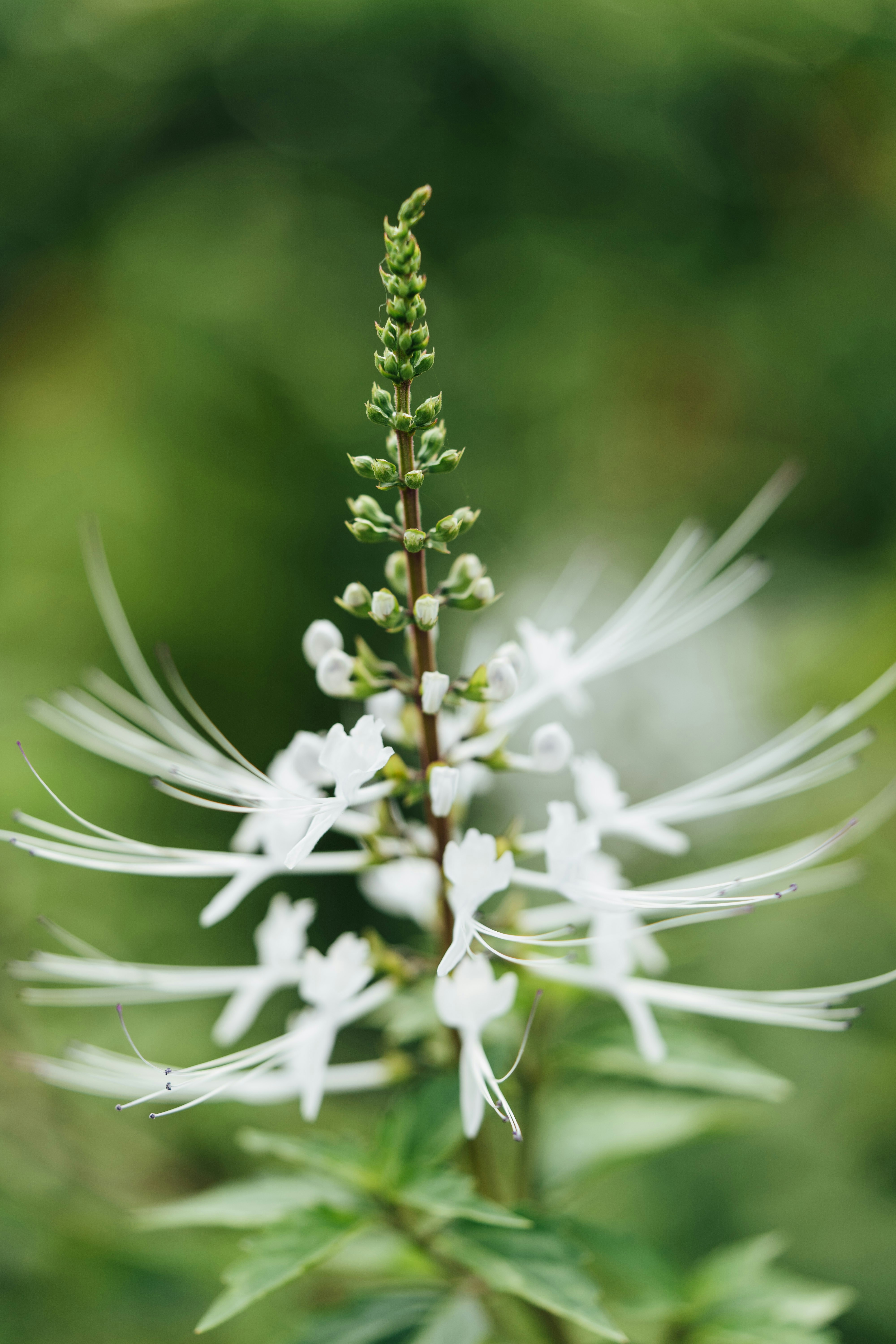 Photo by chuttersnap