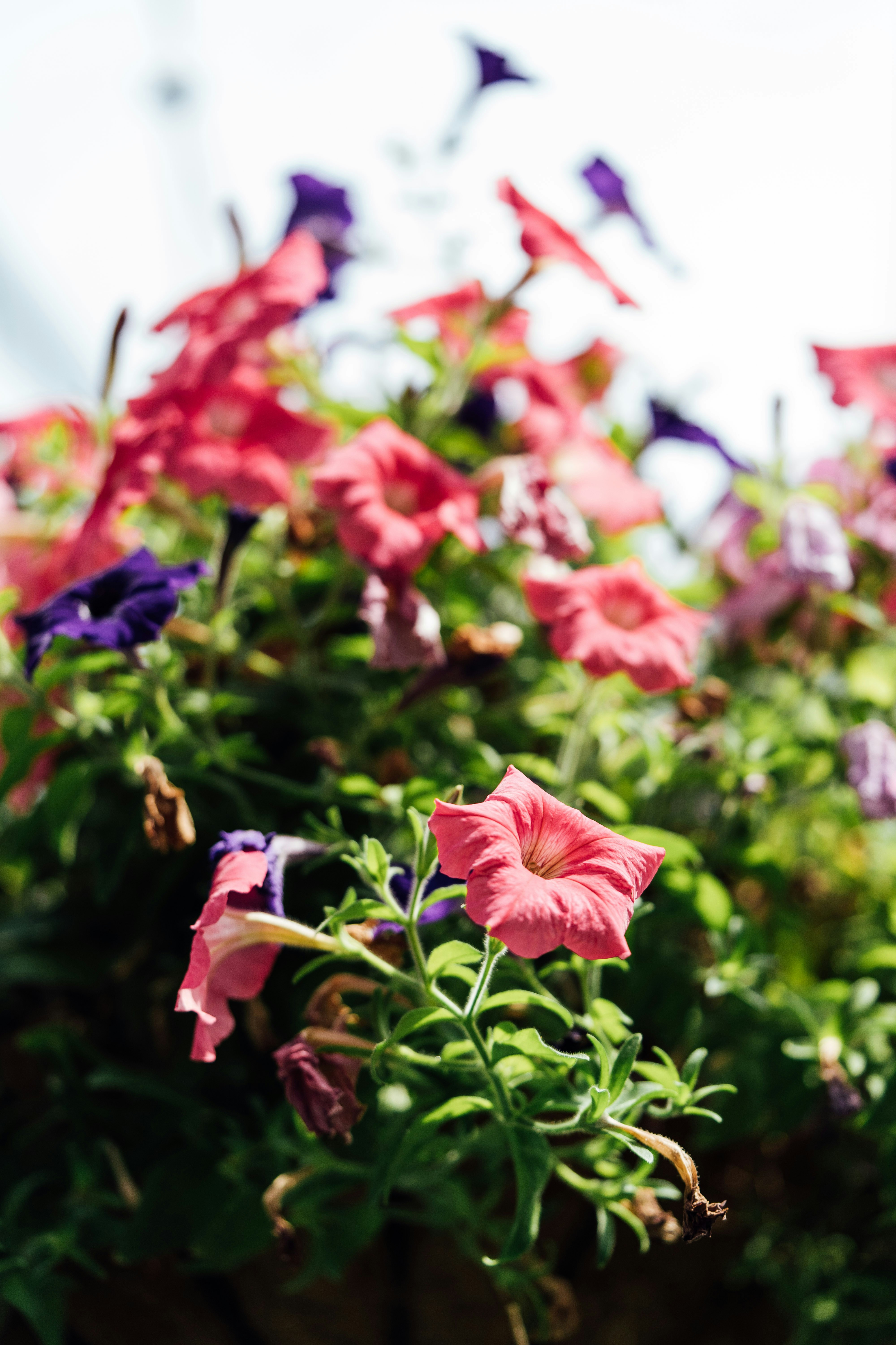 Photo by chuttersnap