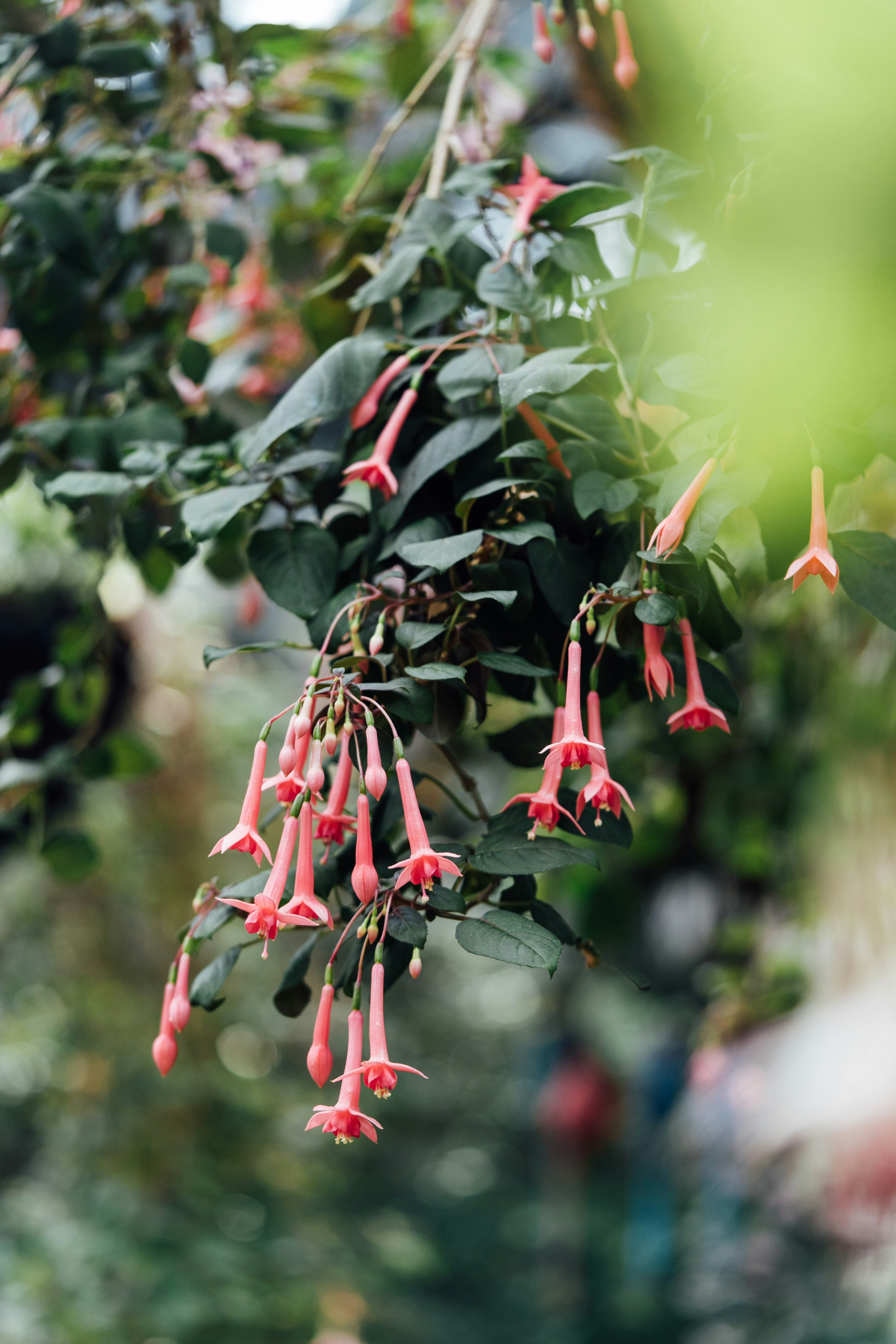 Photo by chuttersnap