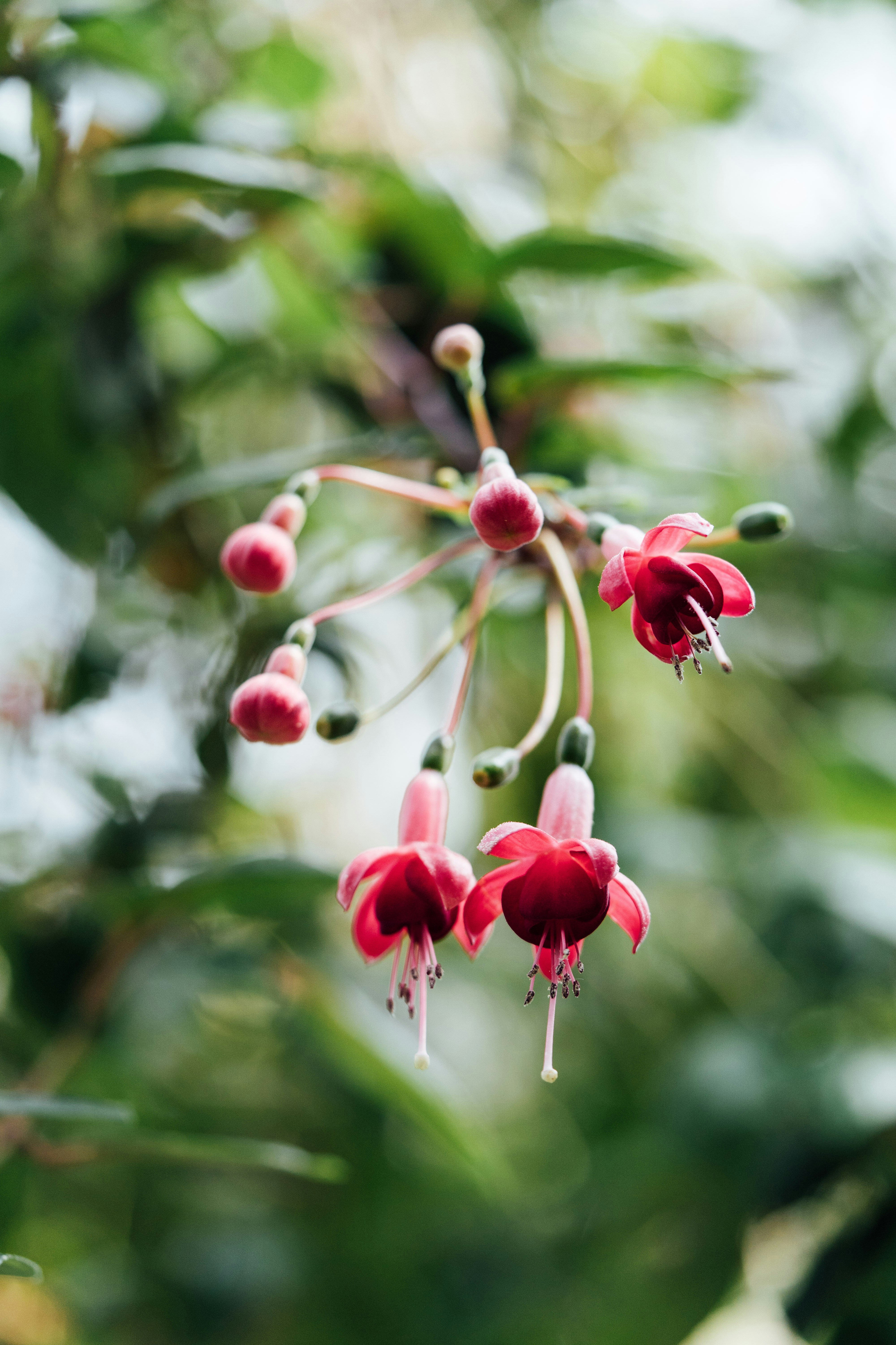 Photo by chuttersnap