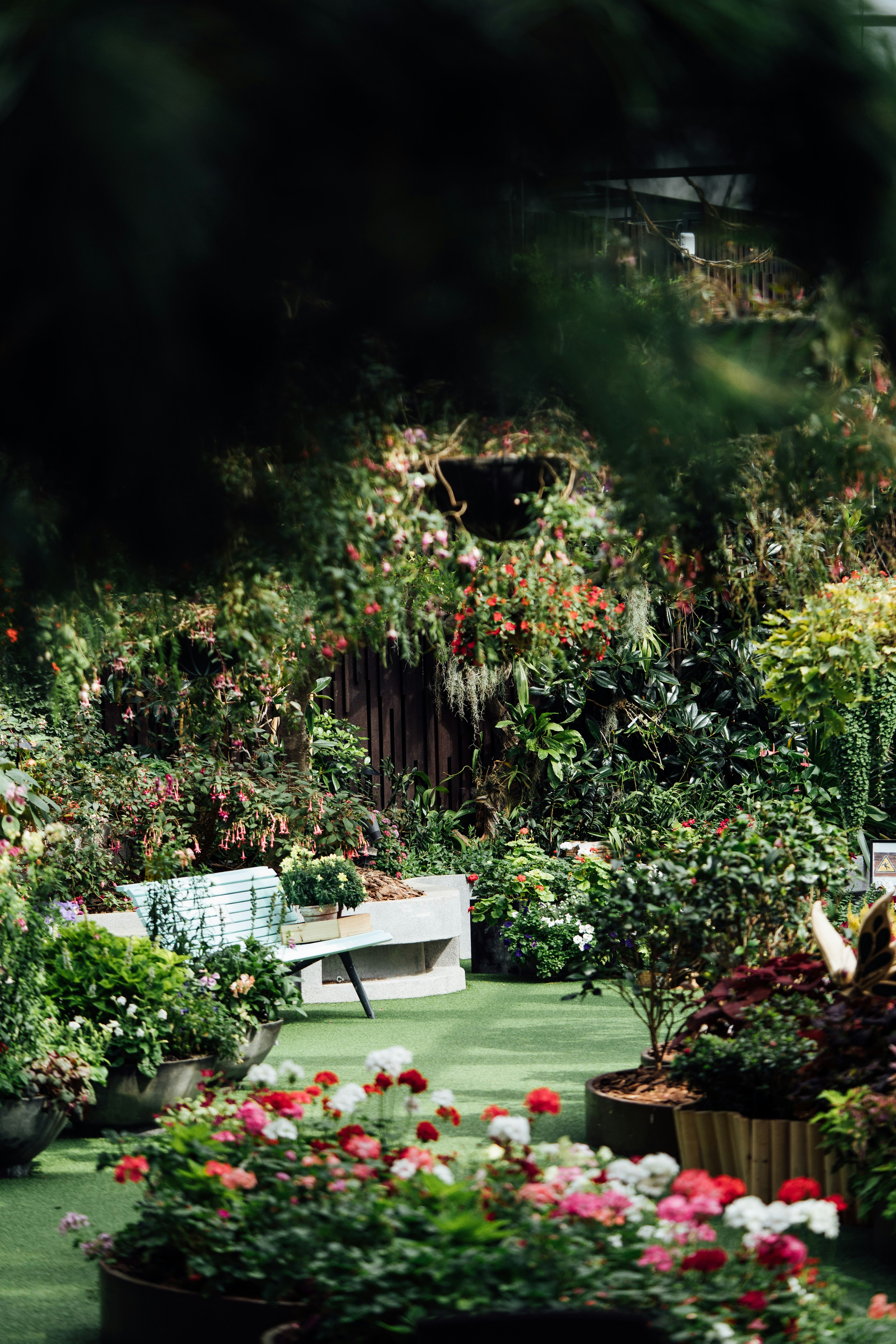 Photo by chuttersnap