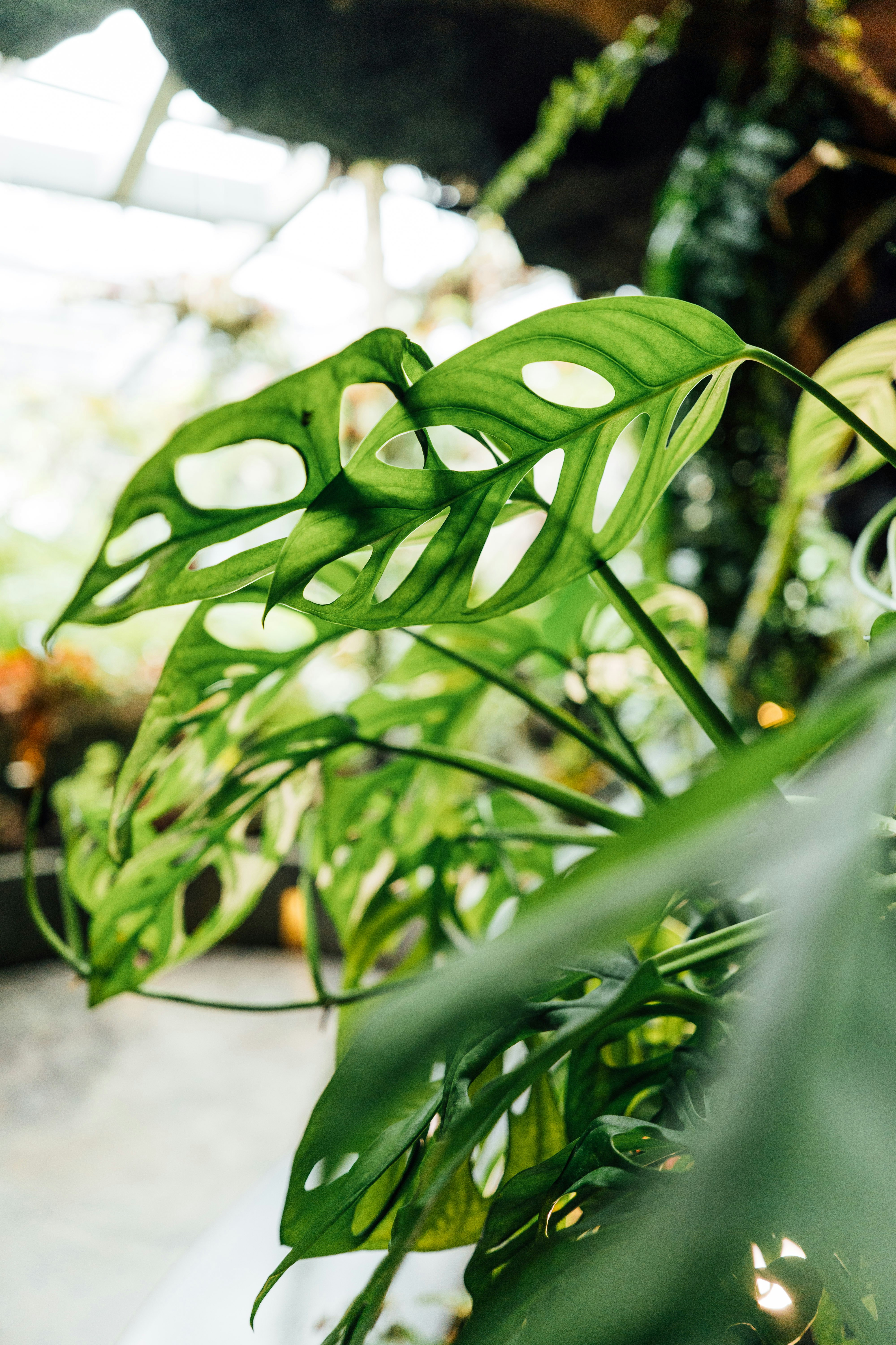 Photo by chuttersnap